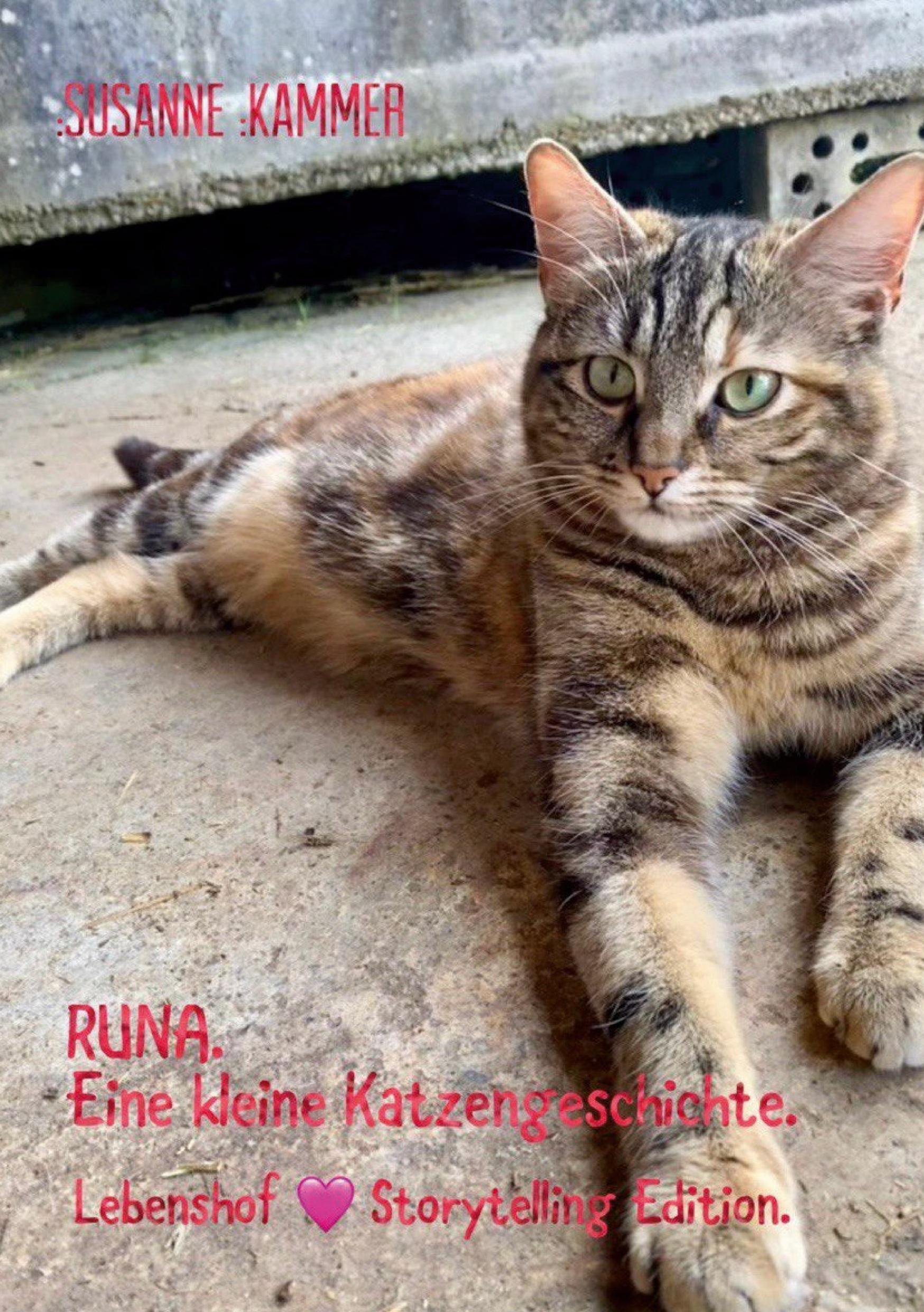 Vorderes Coverbild Runa. Eine kleine Katzengeschichte.
