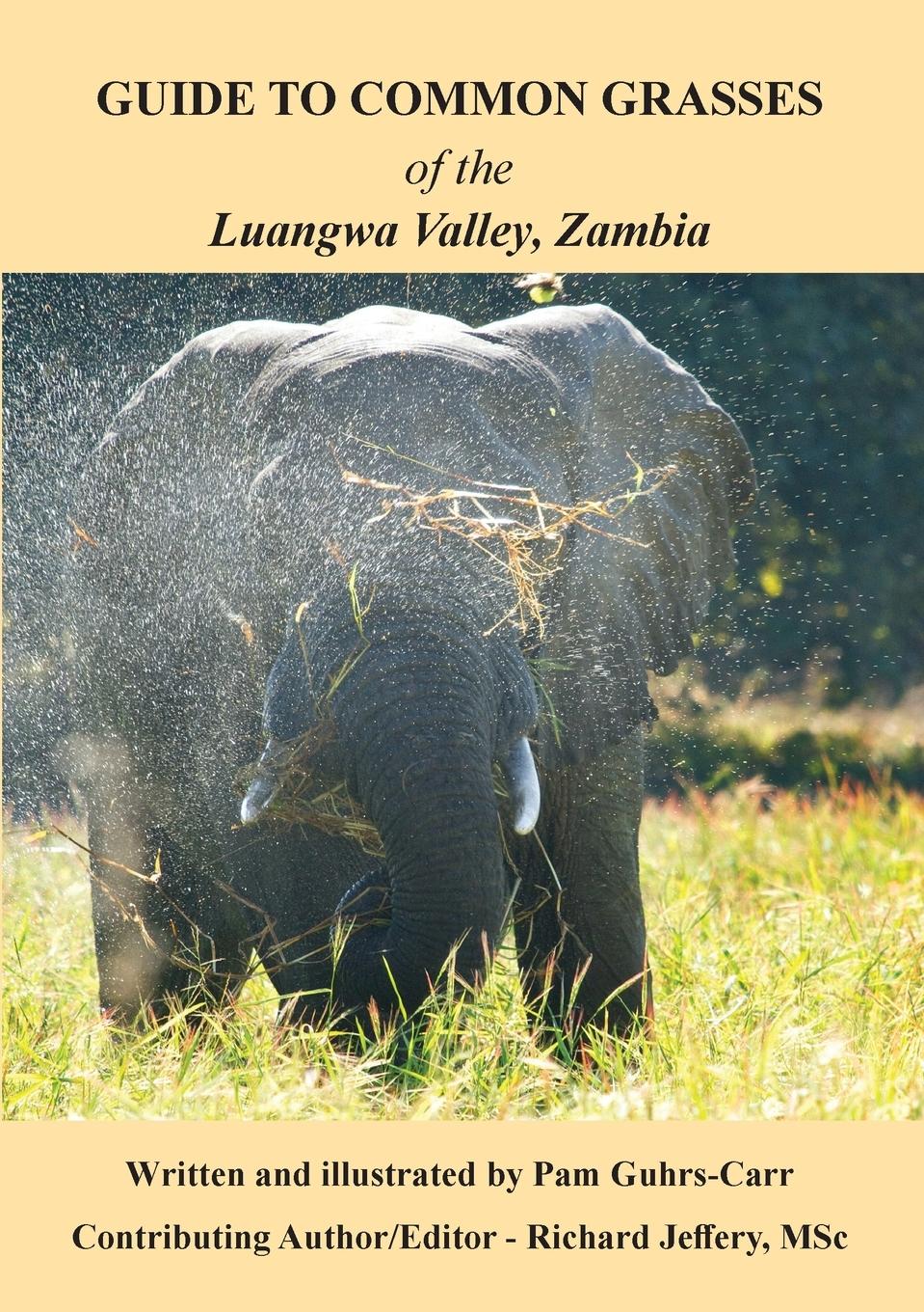Vorderes Coverbild Guide to Common Grasses of the Luangwa Valley, Zambia