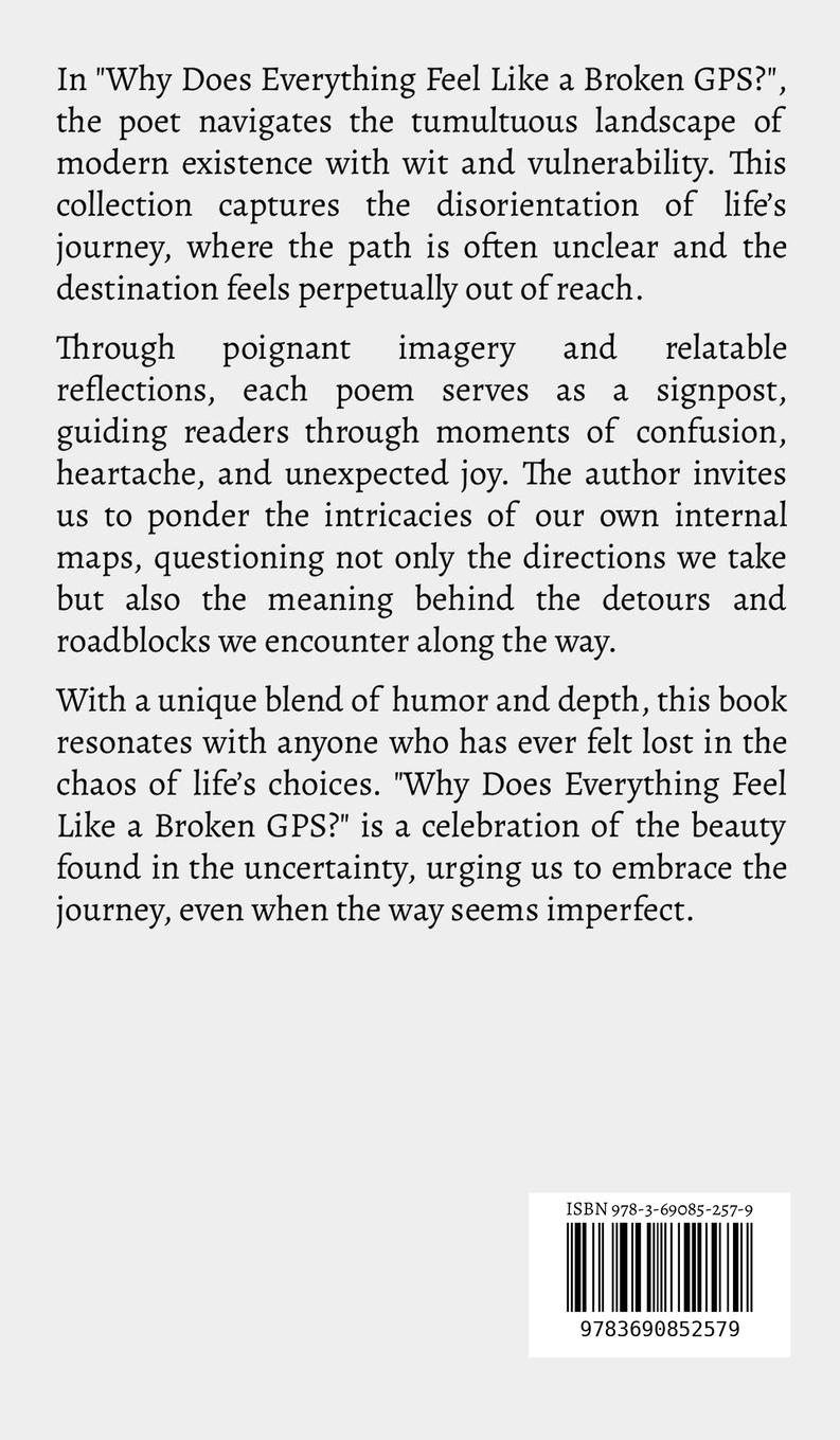 Rückseitencover Why Does Everything Feel Like a Broken GPS?