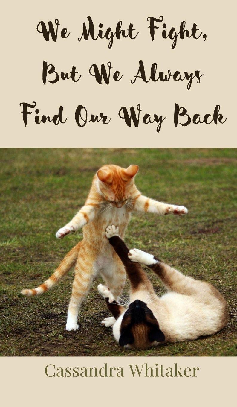 Vorderes Coverbild We Might Fight, But We Always Find Our Way Back