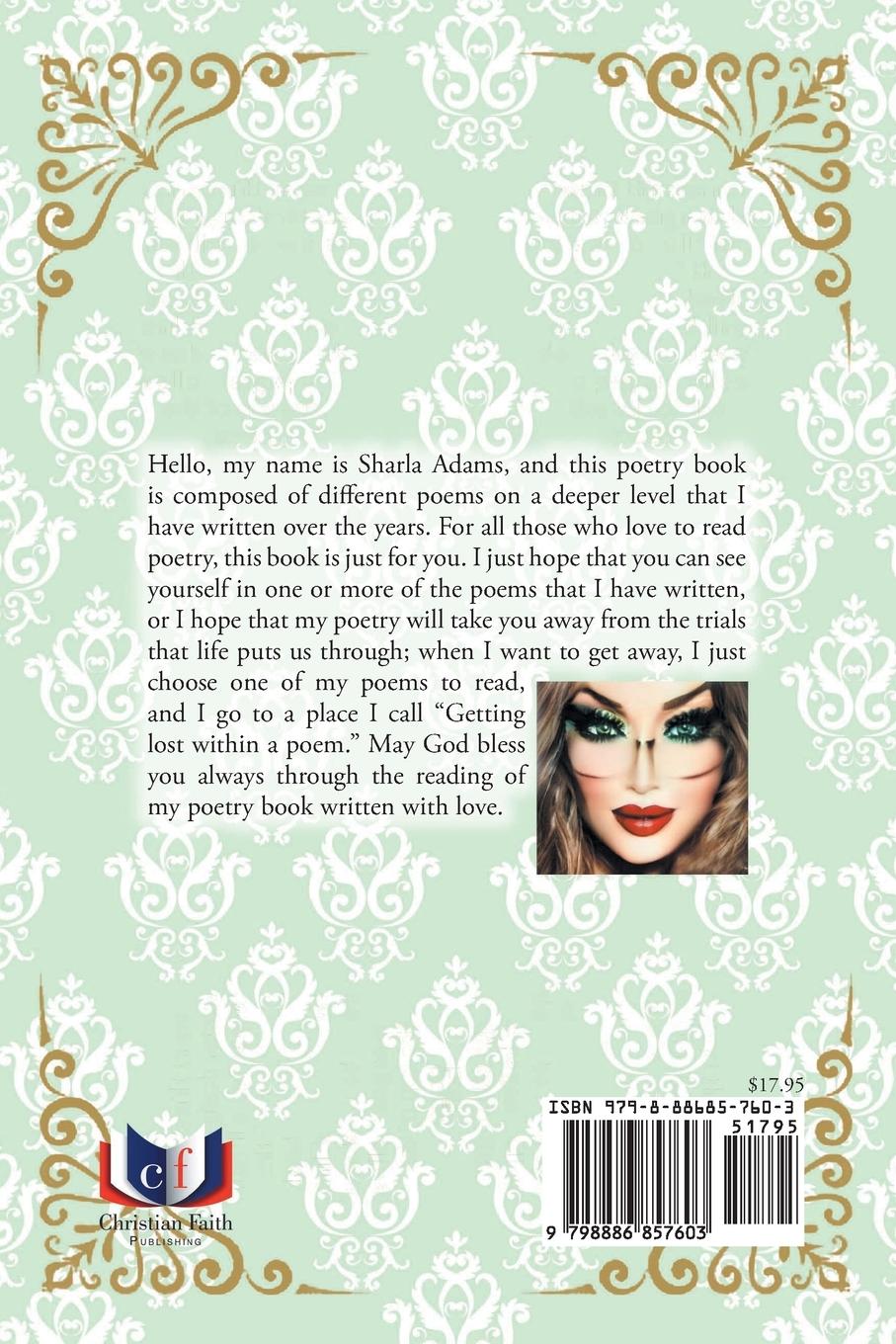 Rückseitencover The Lady with the Hidden Treasure