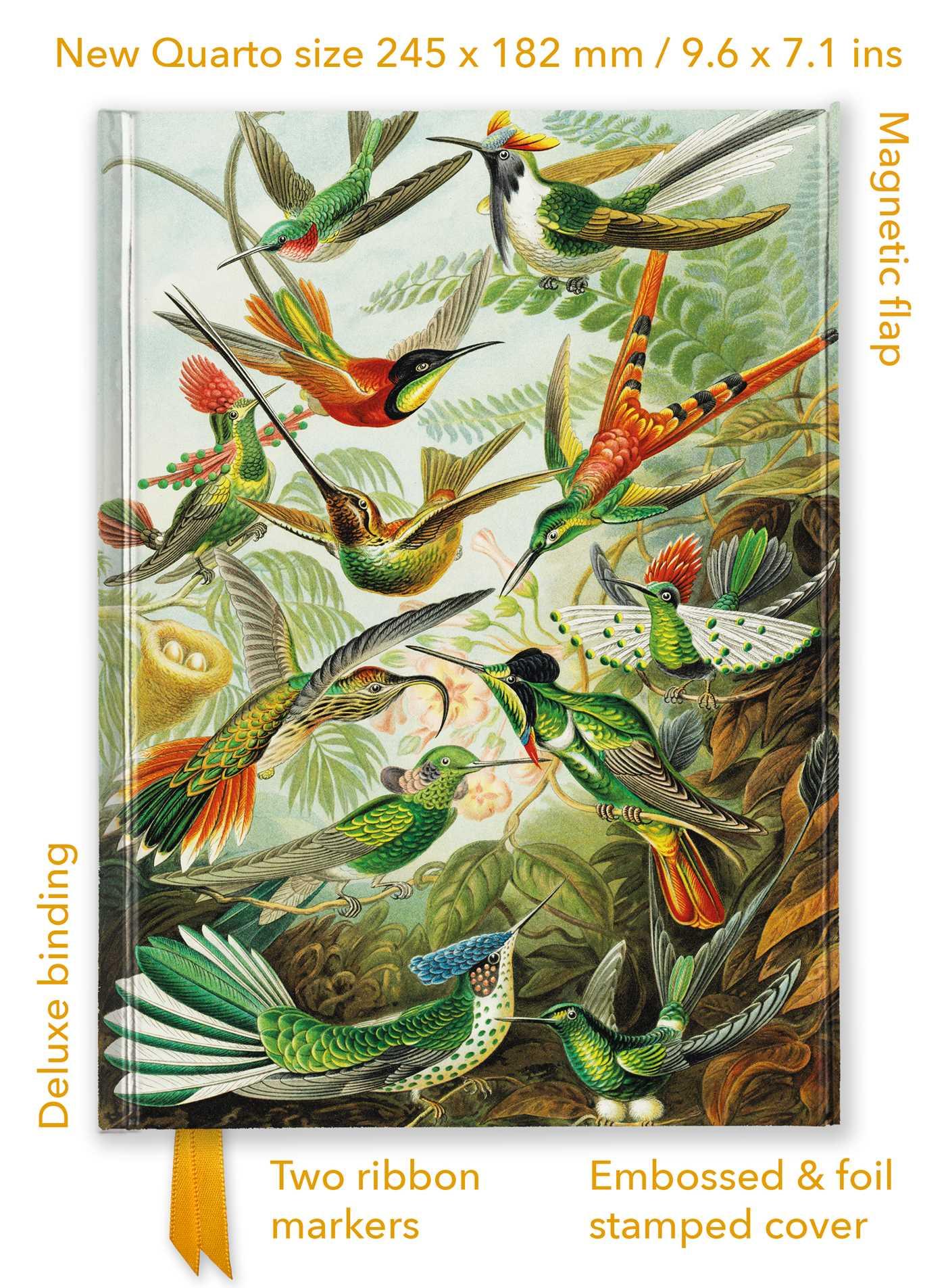 Vorderes Coverbild Ernst Haeckel: Hummingbirds (Foiled Quarto Journal)