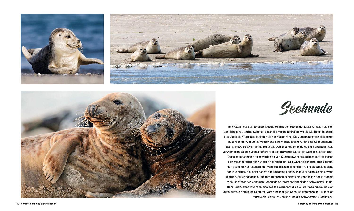 Beispielinhalt (Bild) Küstenliebe