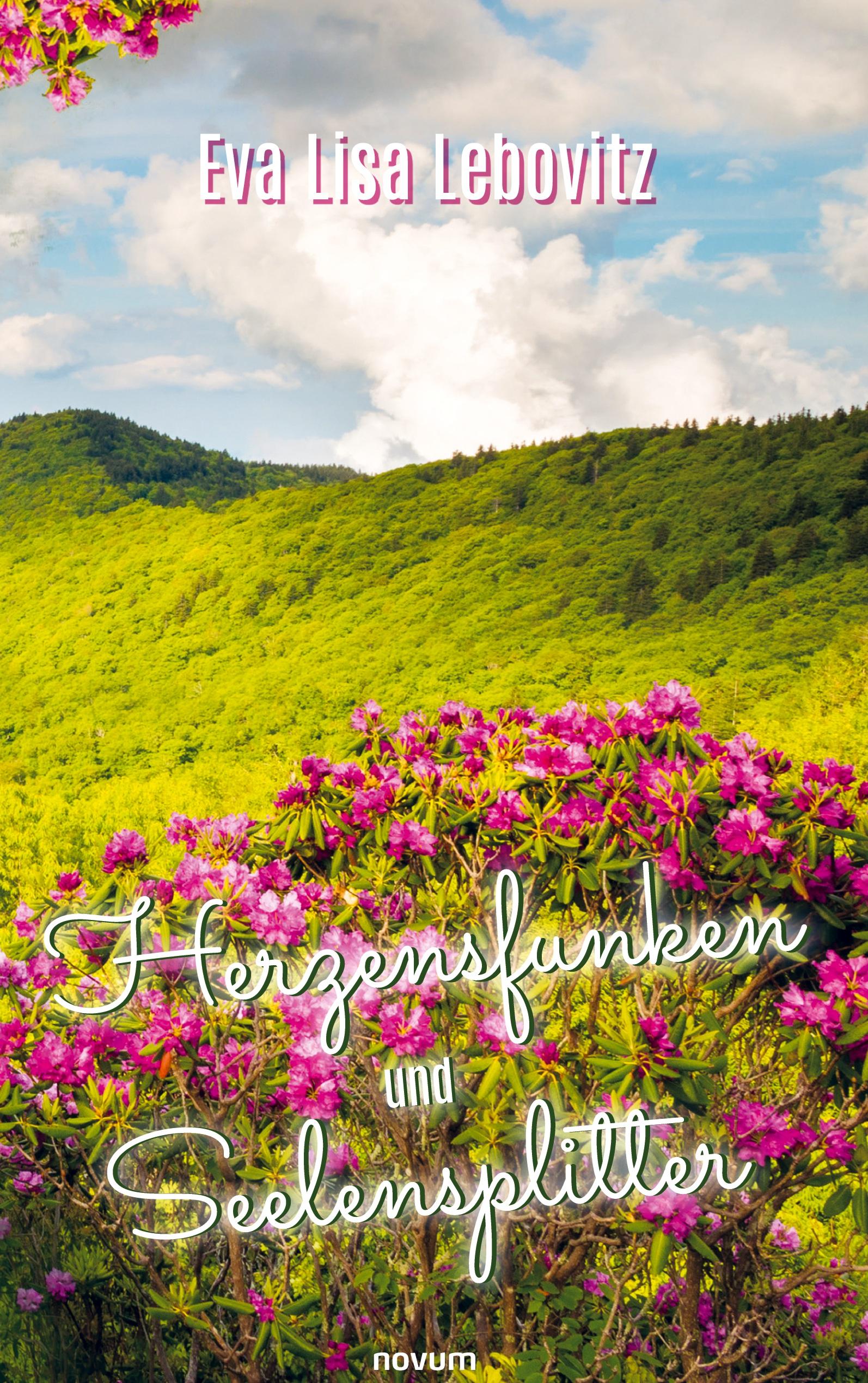 Vorderes Coverbild Herzensfunken und Seelensplitter