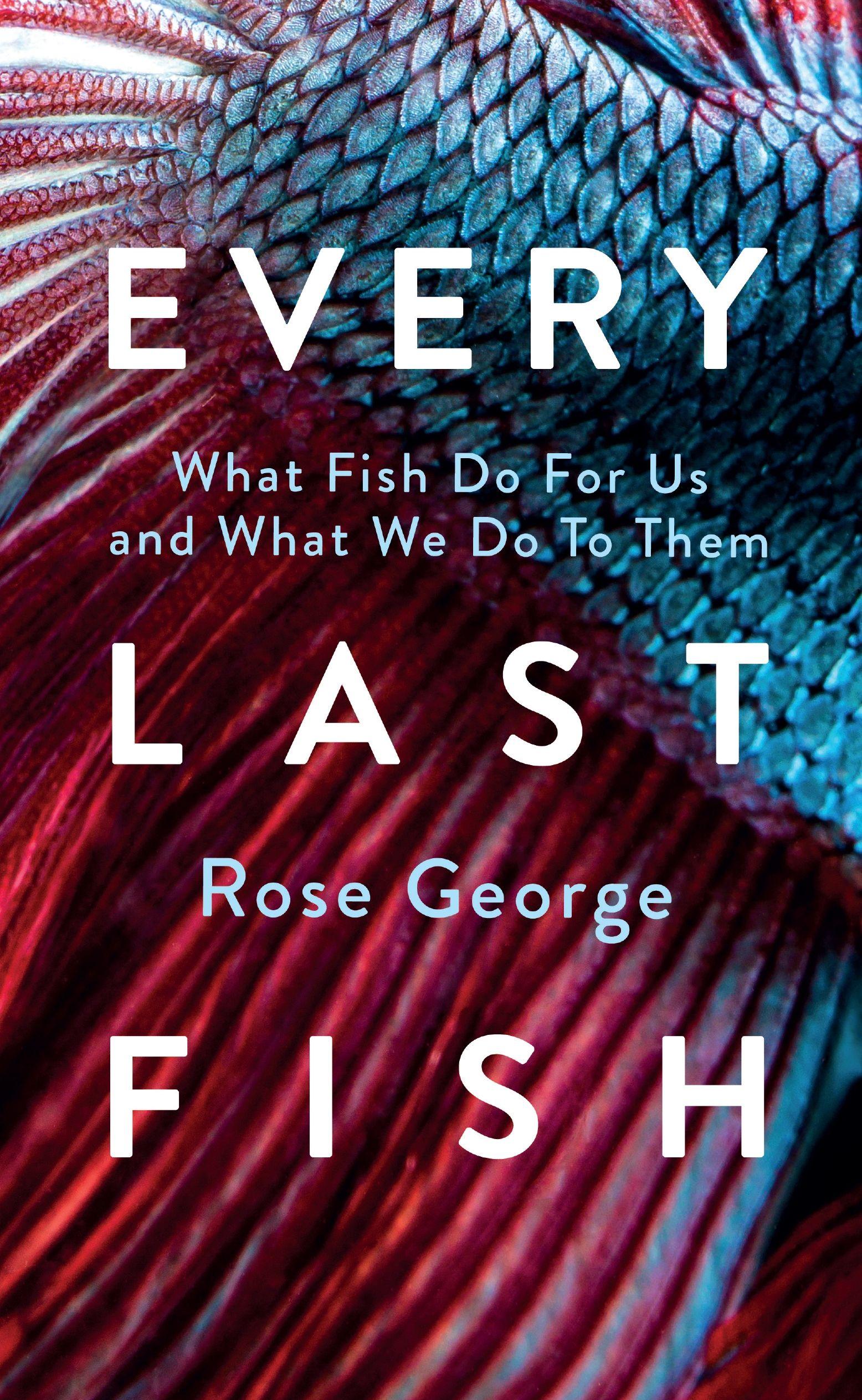 Vorderes Coverbild Every Last Fish