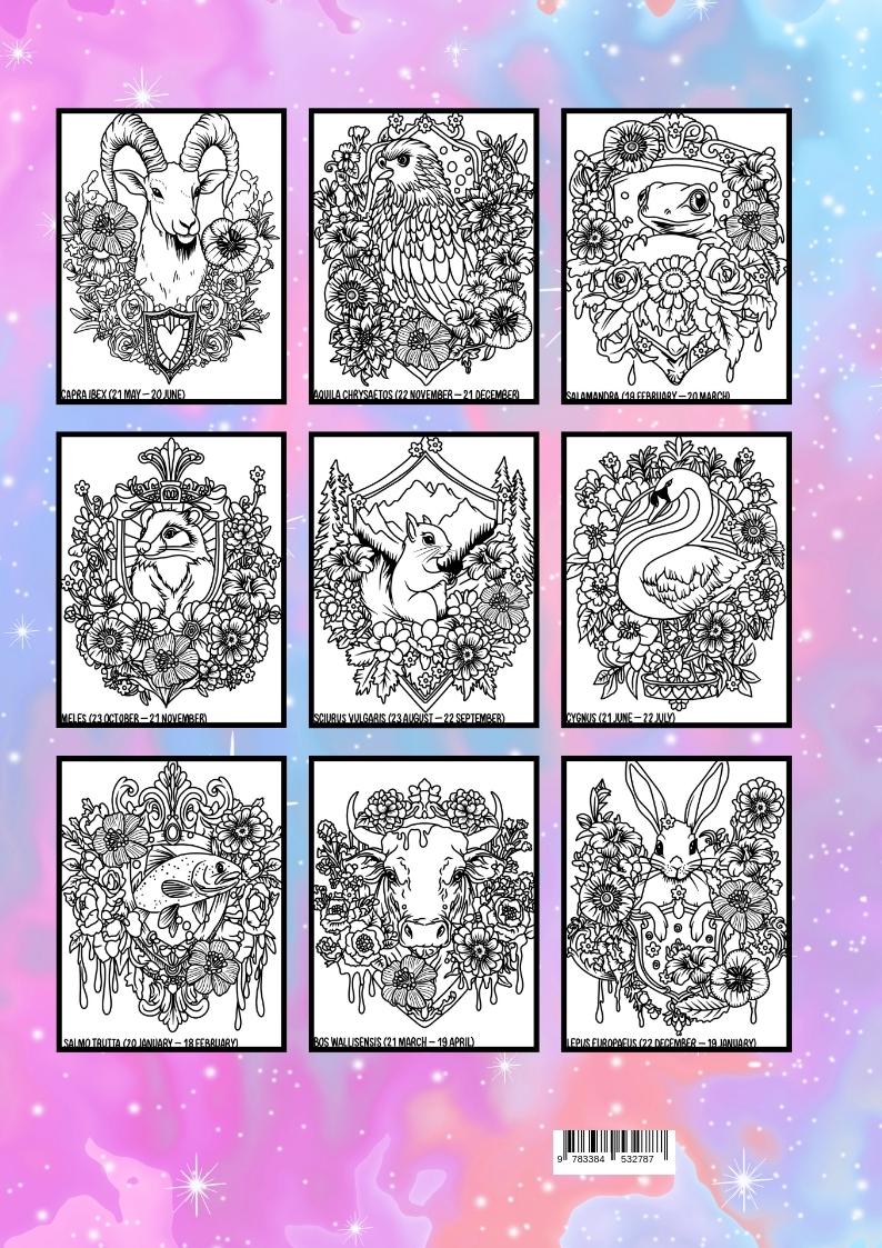 Rückseitencover Zodiacus Helveticus: by @hannasroth