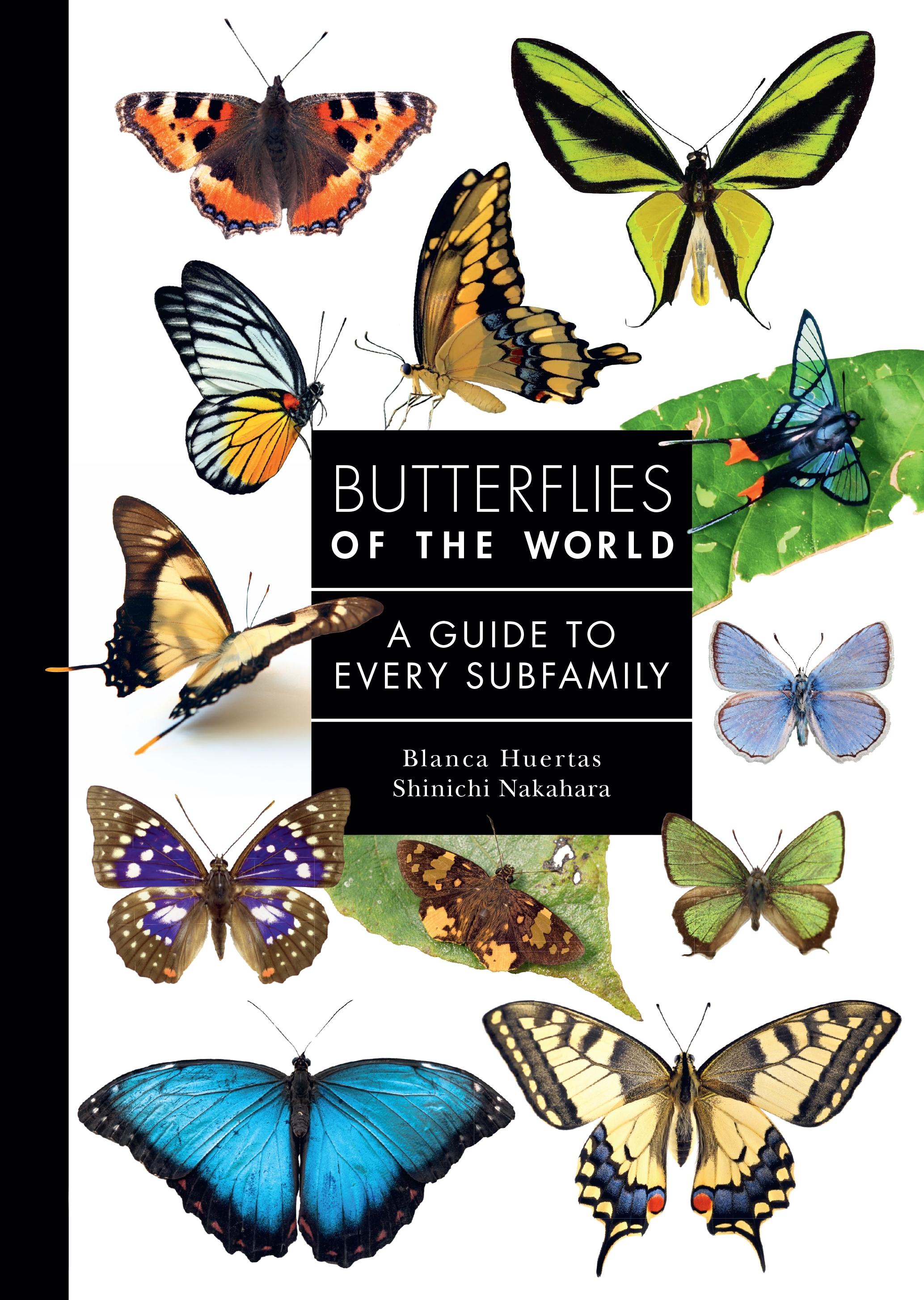 Vorderes Coverbild Butterflies of the World