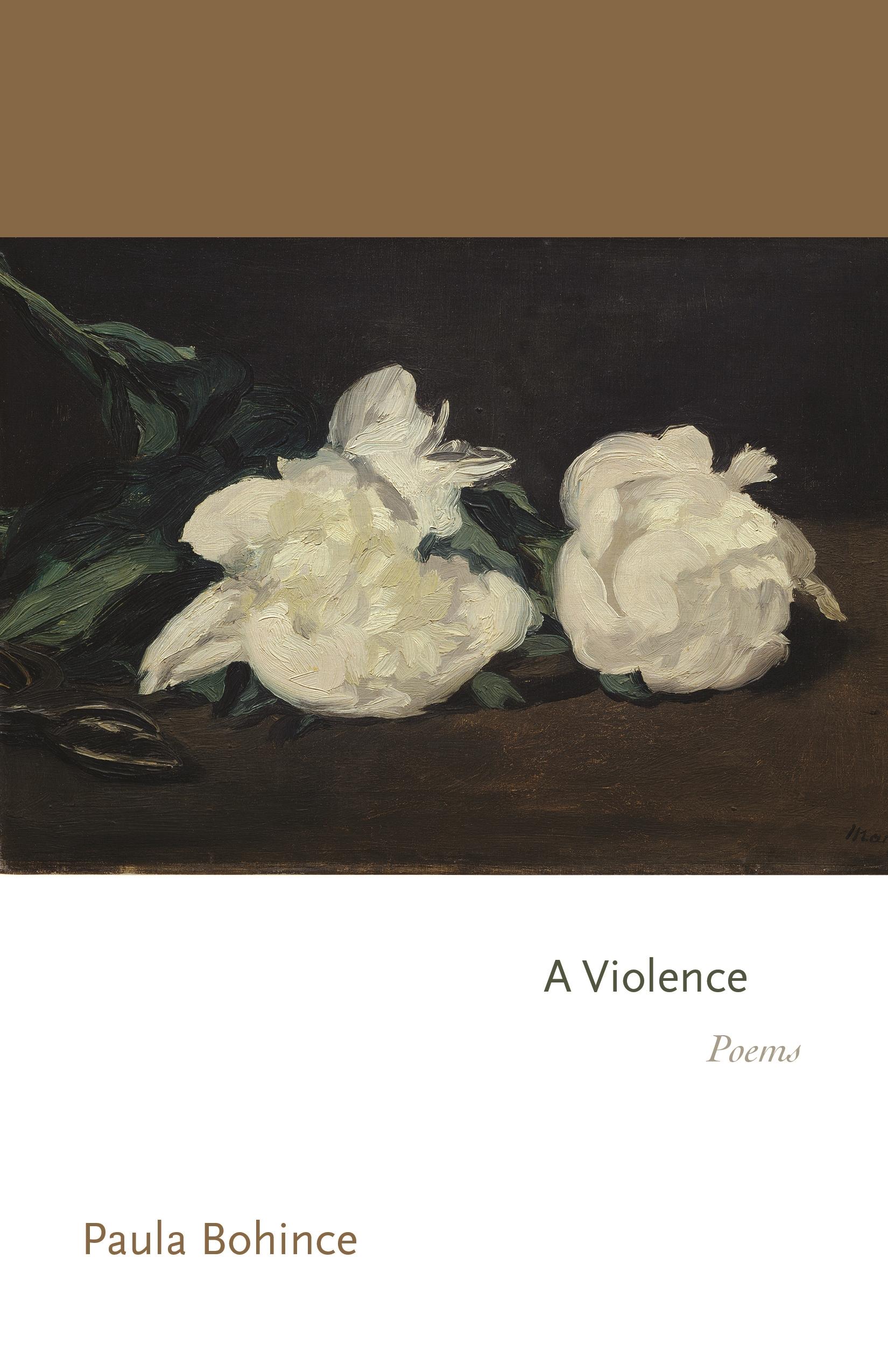 Vorderes Coverbild A Violence