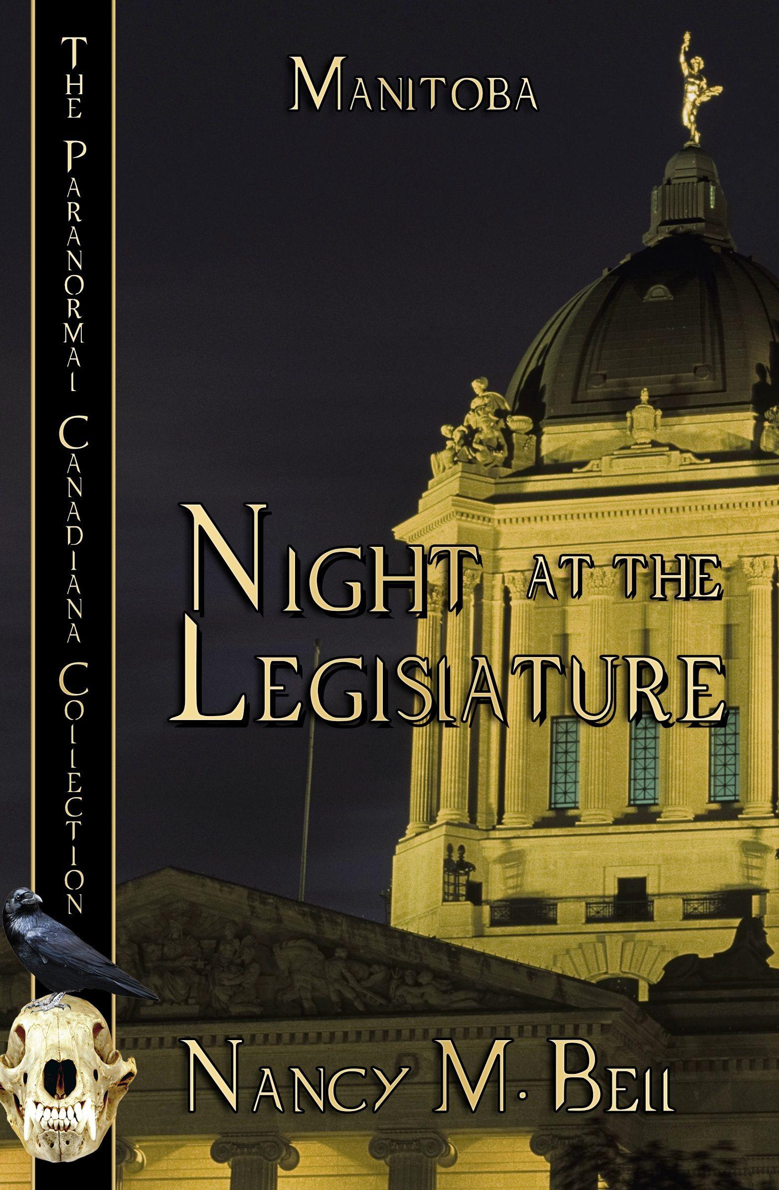 Vorderes Coverbild Night at the Legislature