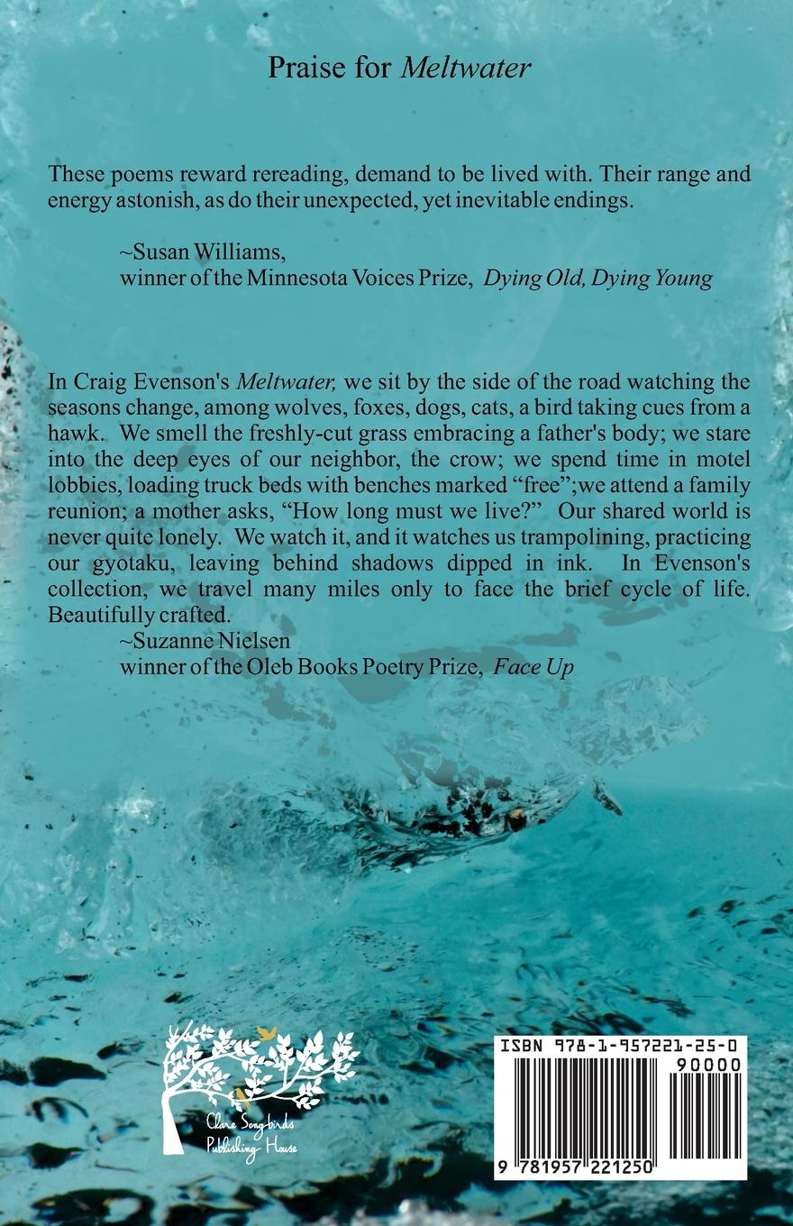 Rückseitencover Meltwater