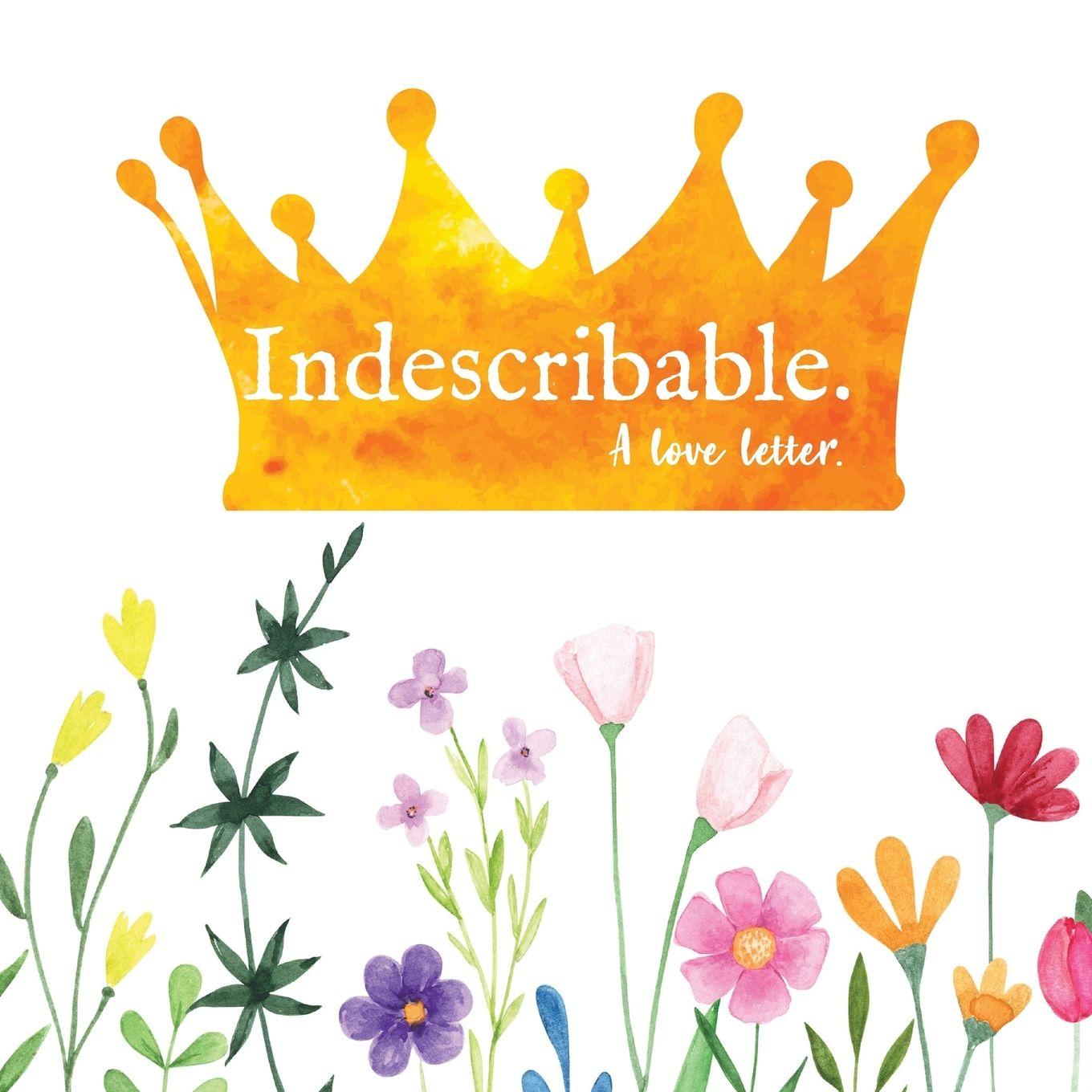 Vorderes Coverbild INDESCRIBABLE.