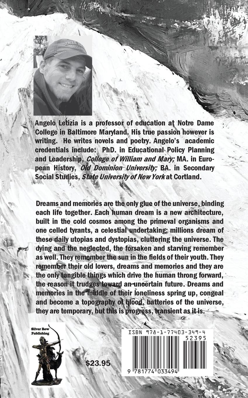 Rückseitencover Temporary Gods and Arbitrary Arrangements