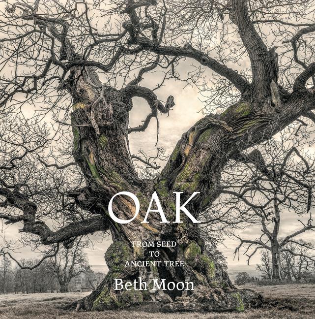 Vorderes Coverbild Oak