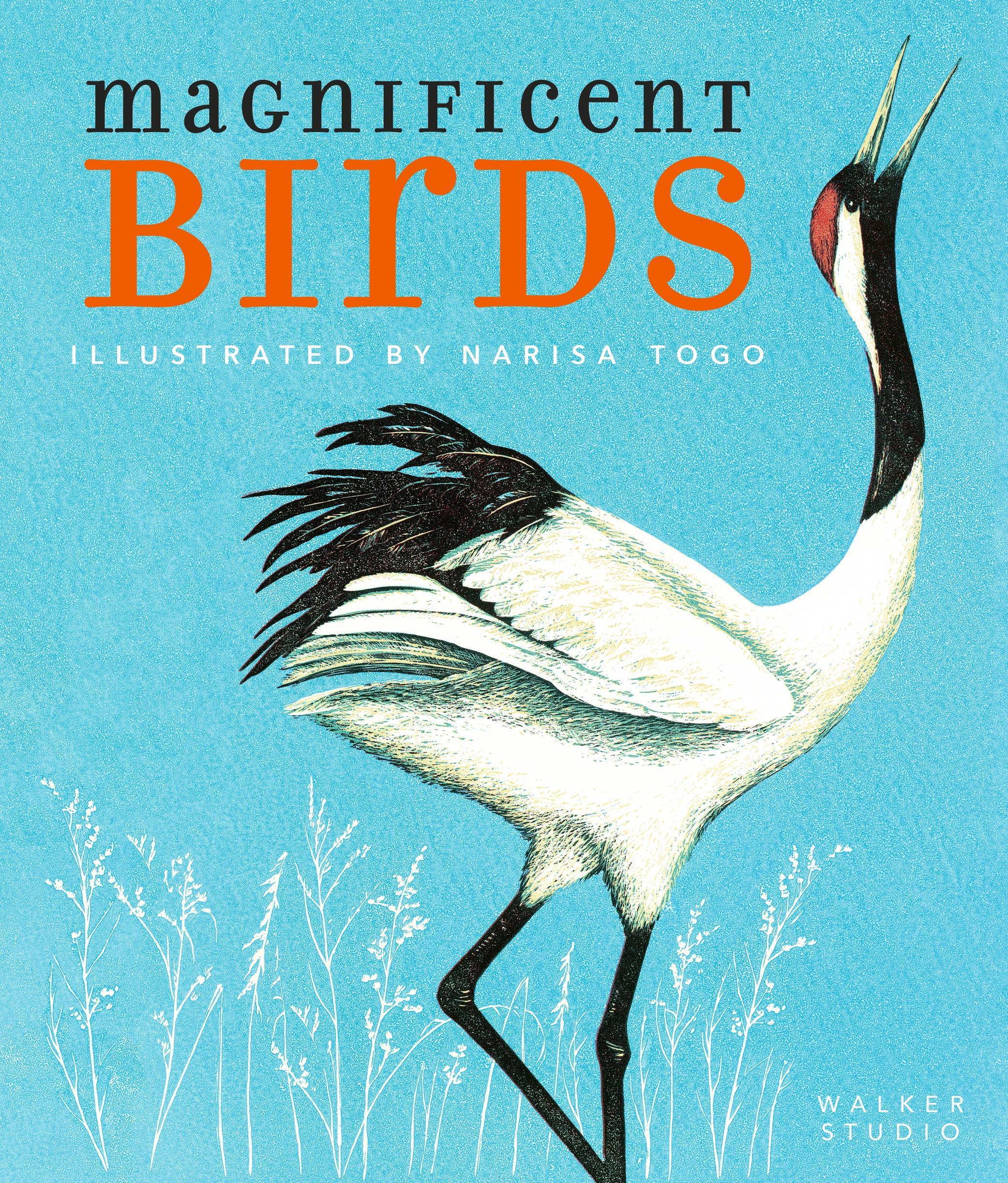 Vorderes Coverbild Magnificent Birds