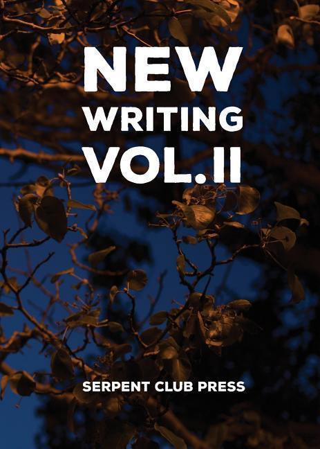 Vorderes Coverbild New Writing Volume 2