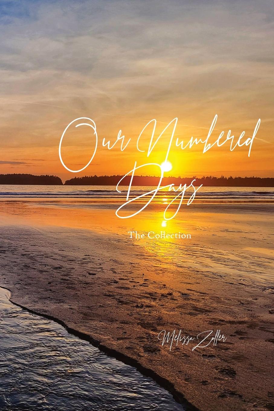 Vorderes Coverbild Our Numbered Days