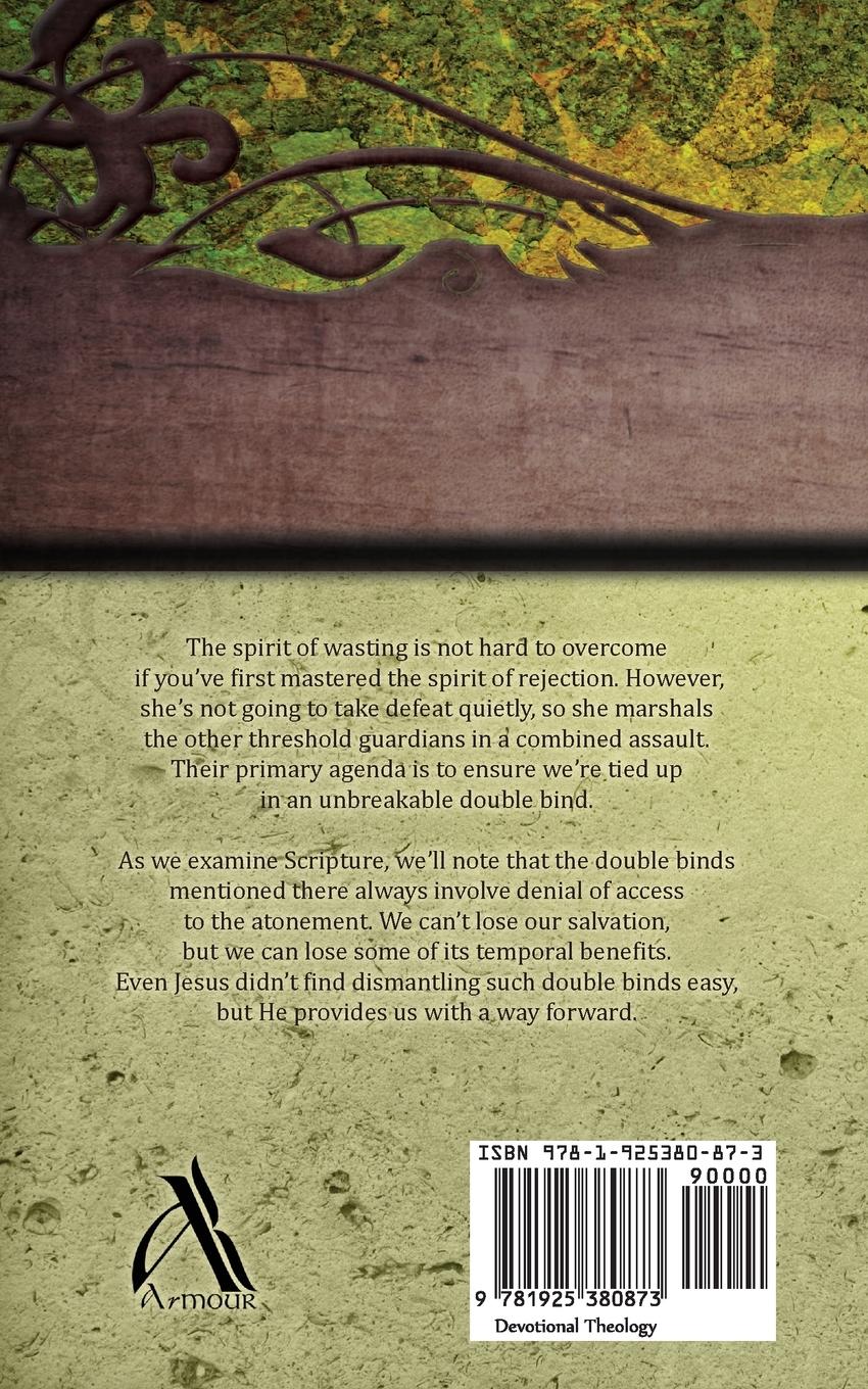 Rückseitencover Dealing with Rachab