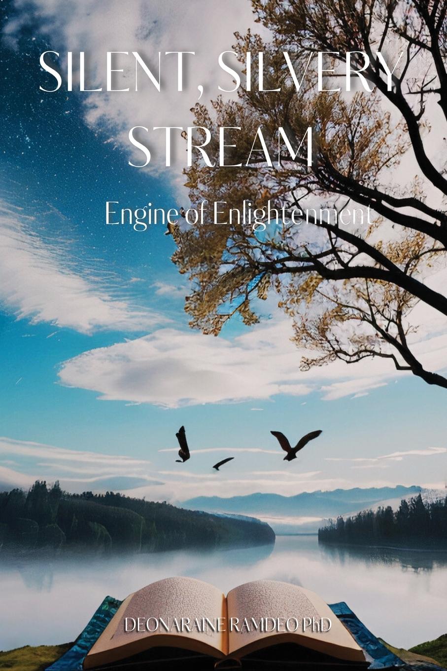 Vorderes Coverbild Silent, Silvery Stream