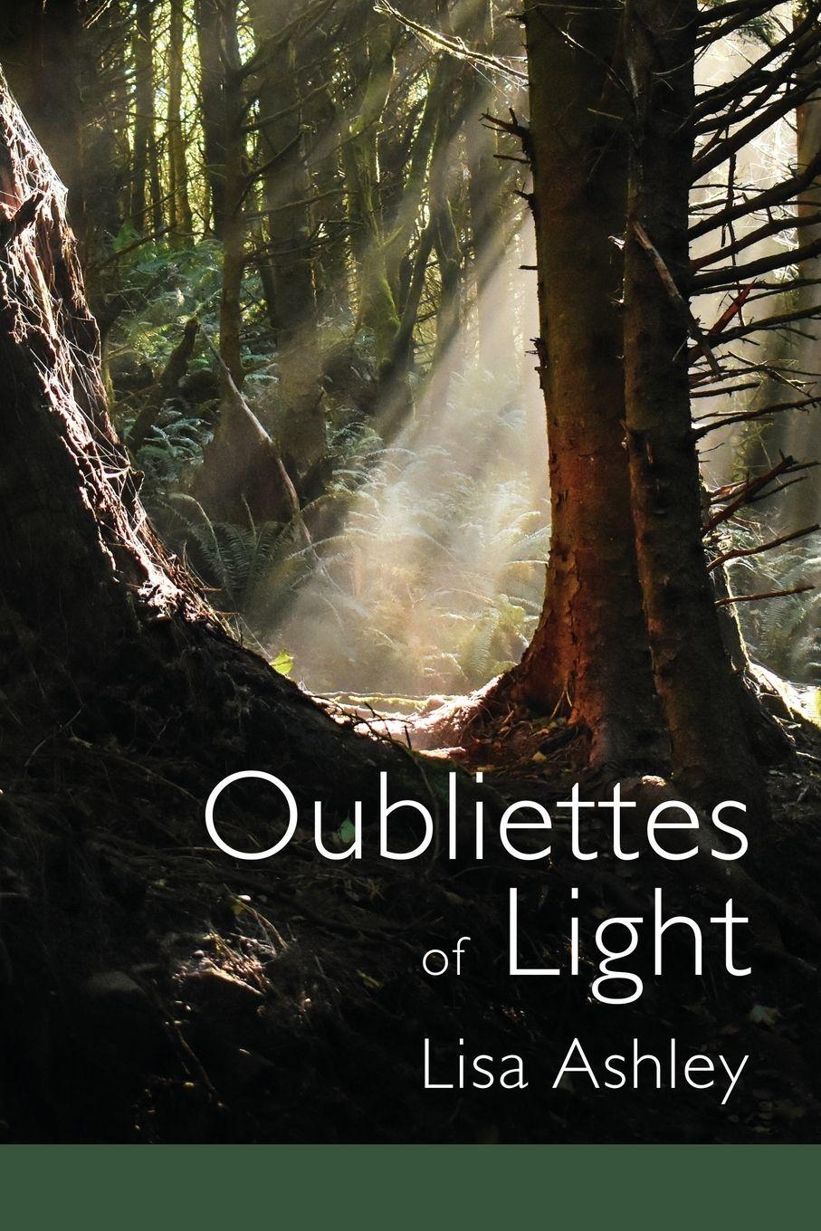 Vorderes Coverbild Oubliettes of Light