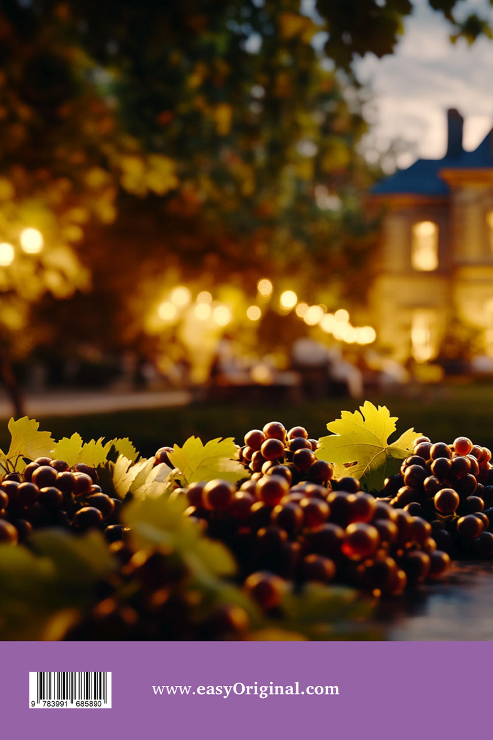 Rückseitencover Le Mystère du millésime manquant - Französische Krimi-Lektüre B1-B2 (+ Audio-CD)