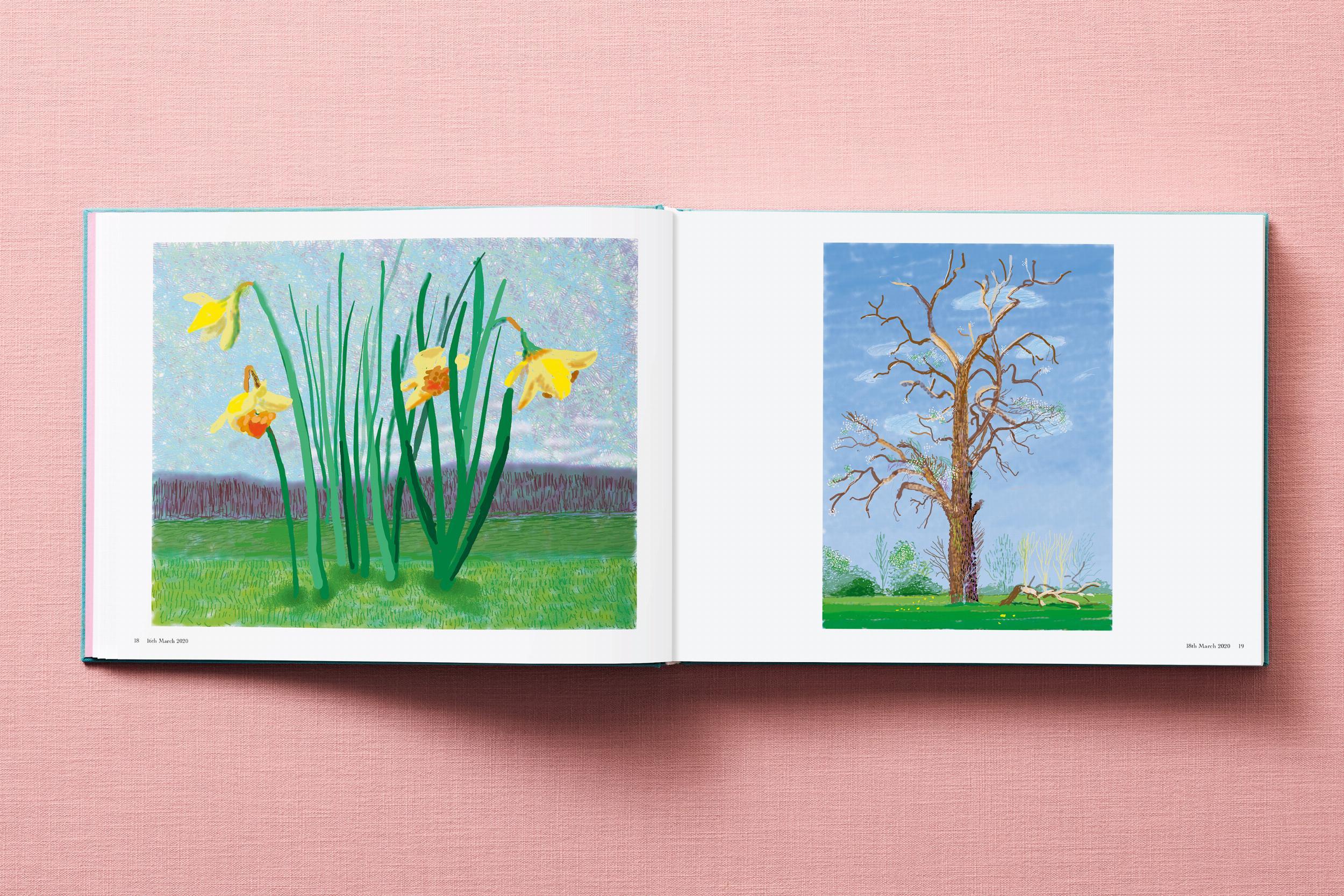 Beispielinhalt (Bild) David Hockney. 220 for 2020