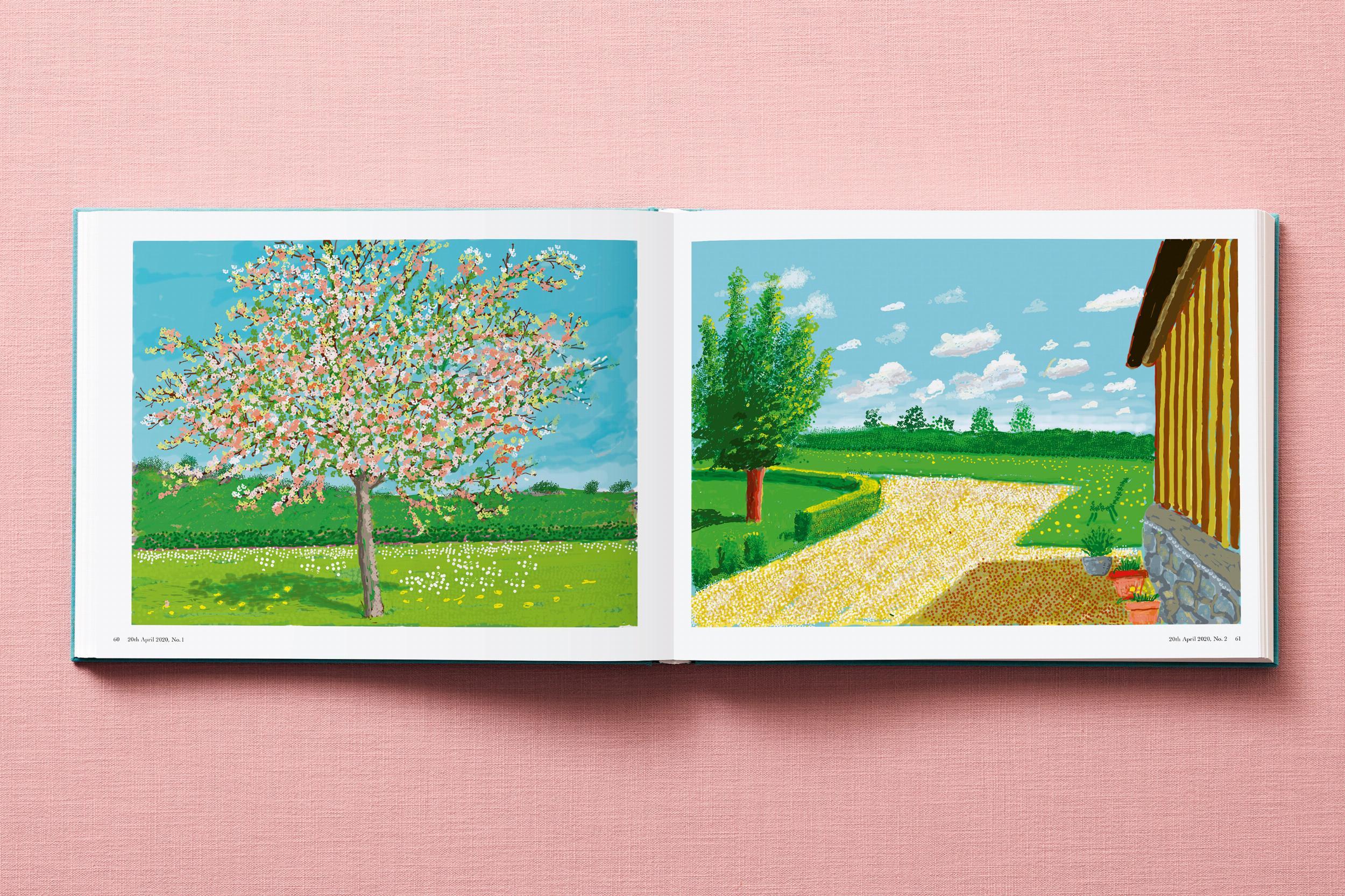 Beispielinhalt (Bild) David Hockney. 220 for 2020