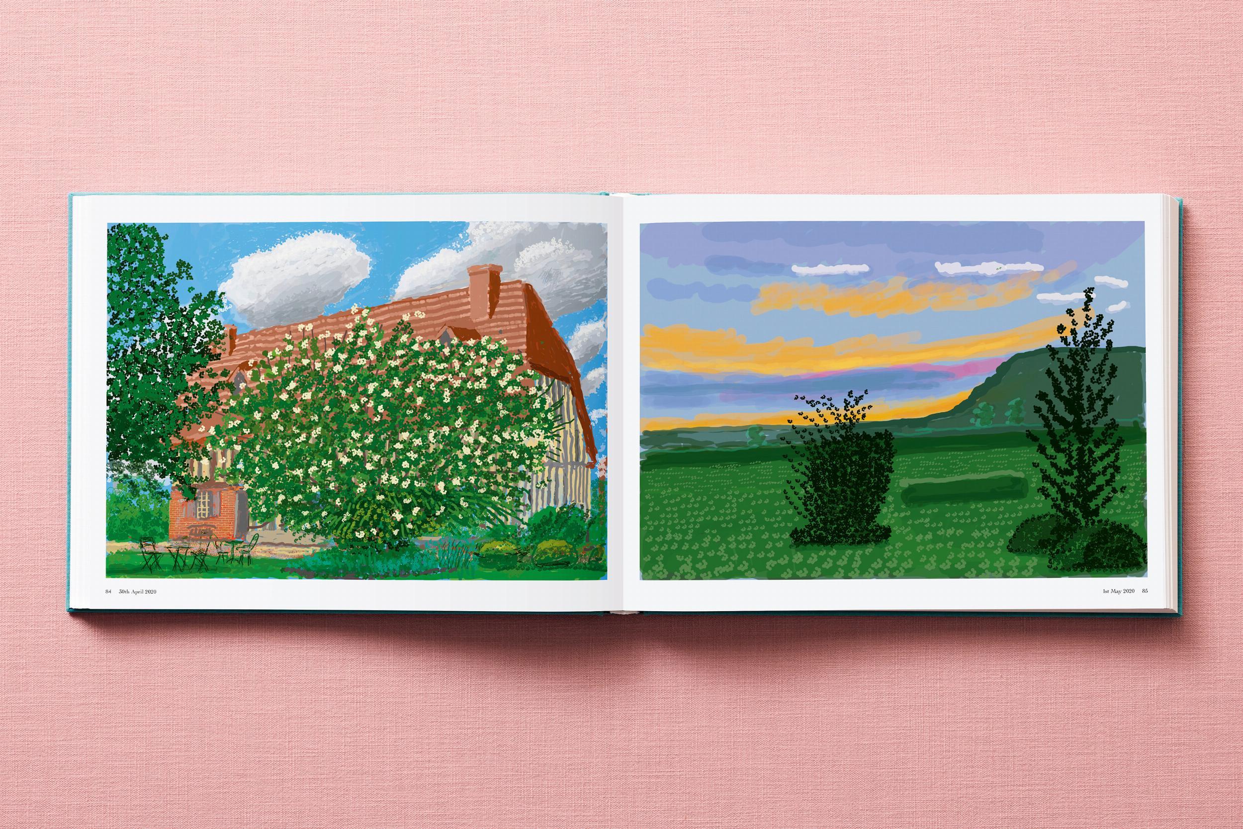Beispielinhalt (Bild) David Hockney. 220 for 2020