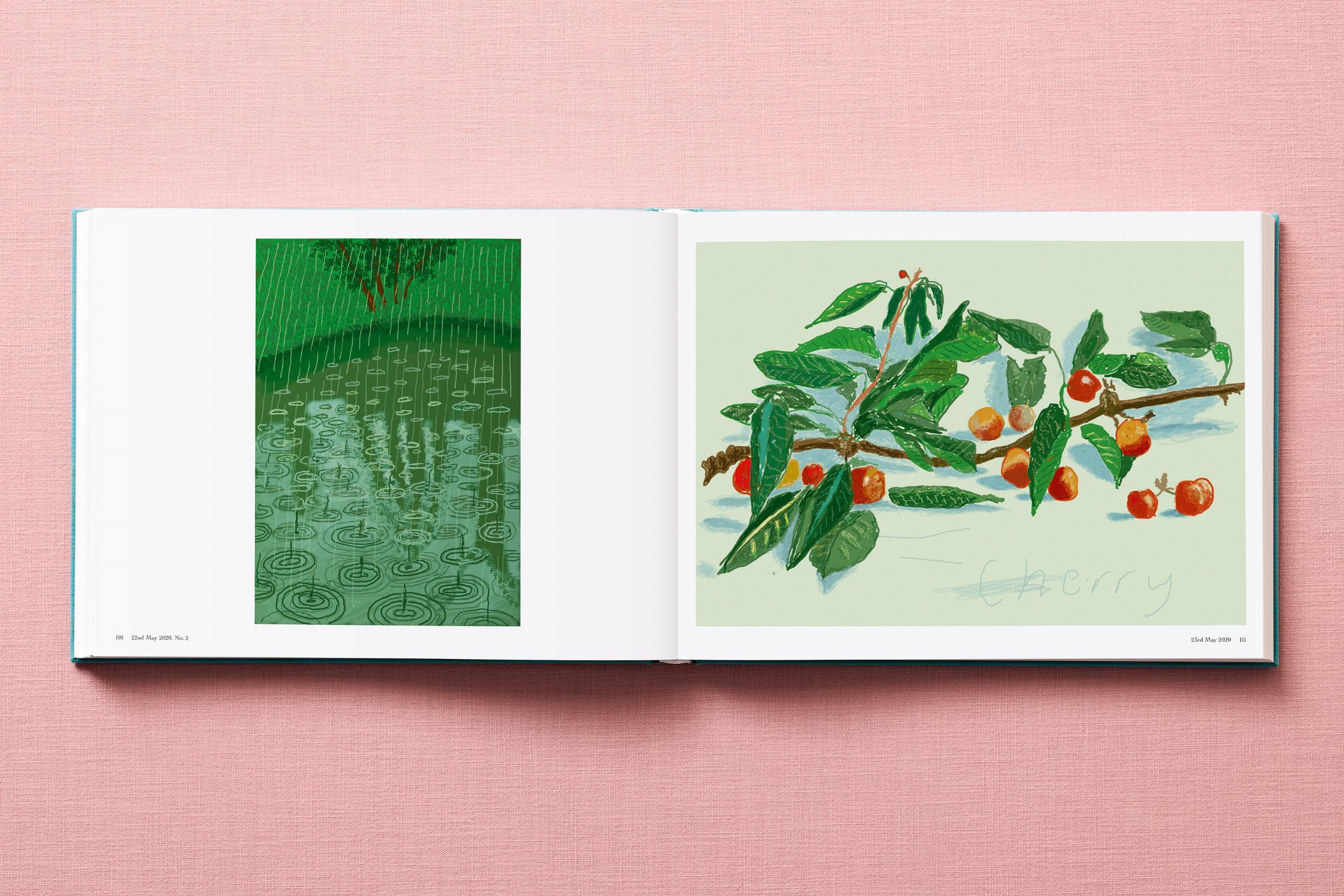 Beispielinhalt (Bild) David Hockney. 220 for 2020
