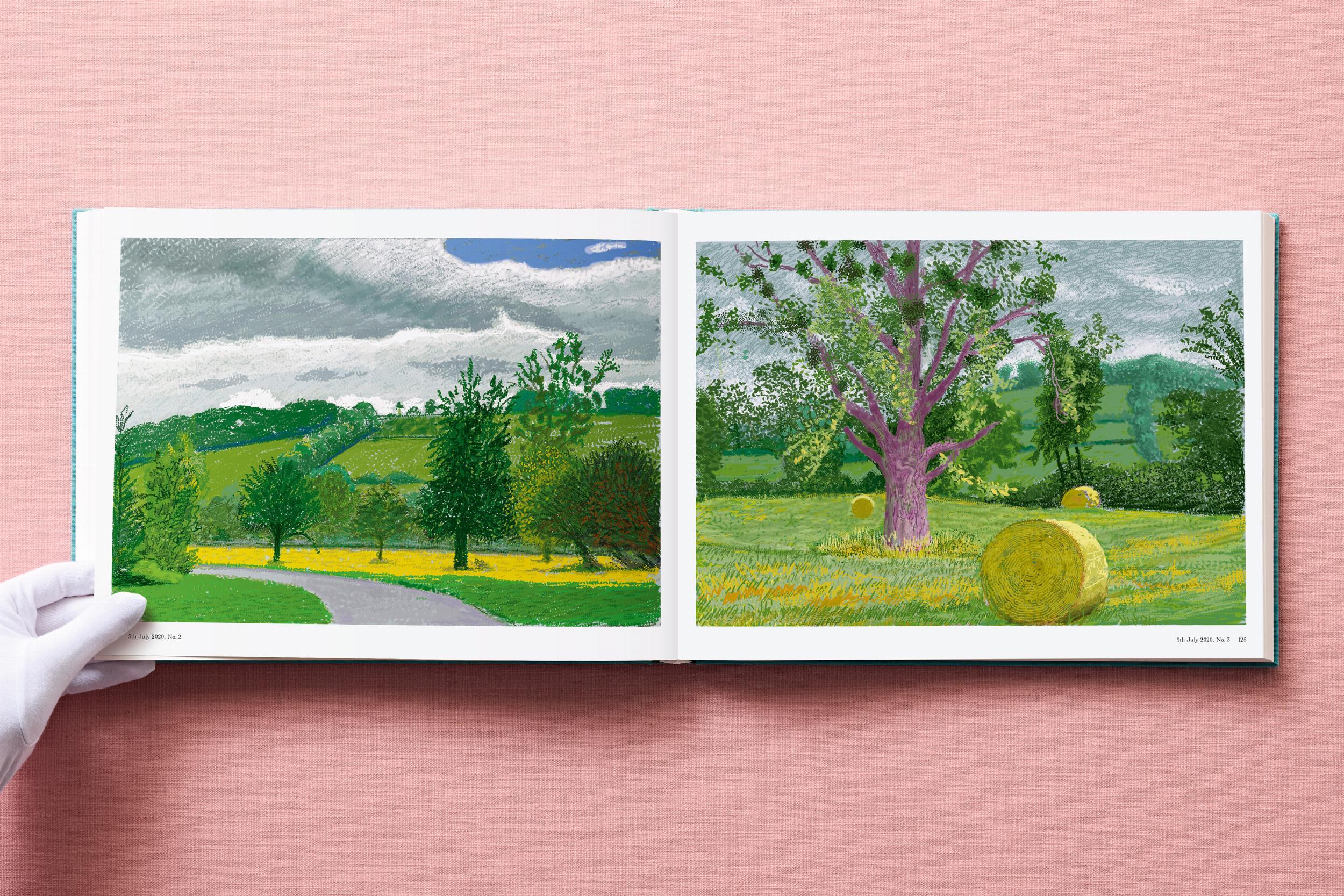 Beispielinhalt (Bild) David Hockney. 220 for 2020