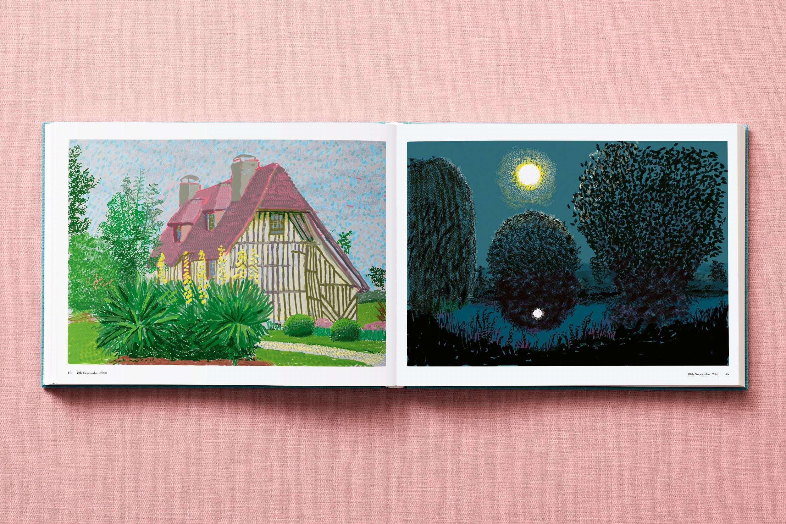 Beispielinhalt (Bild) David Hockney. 220 for 2020