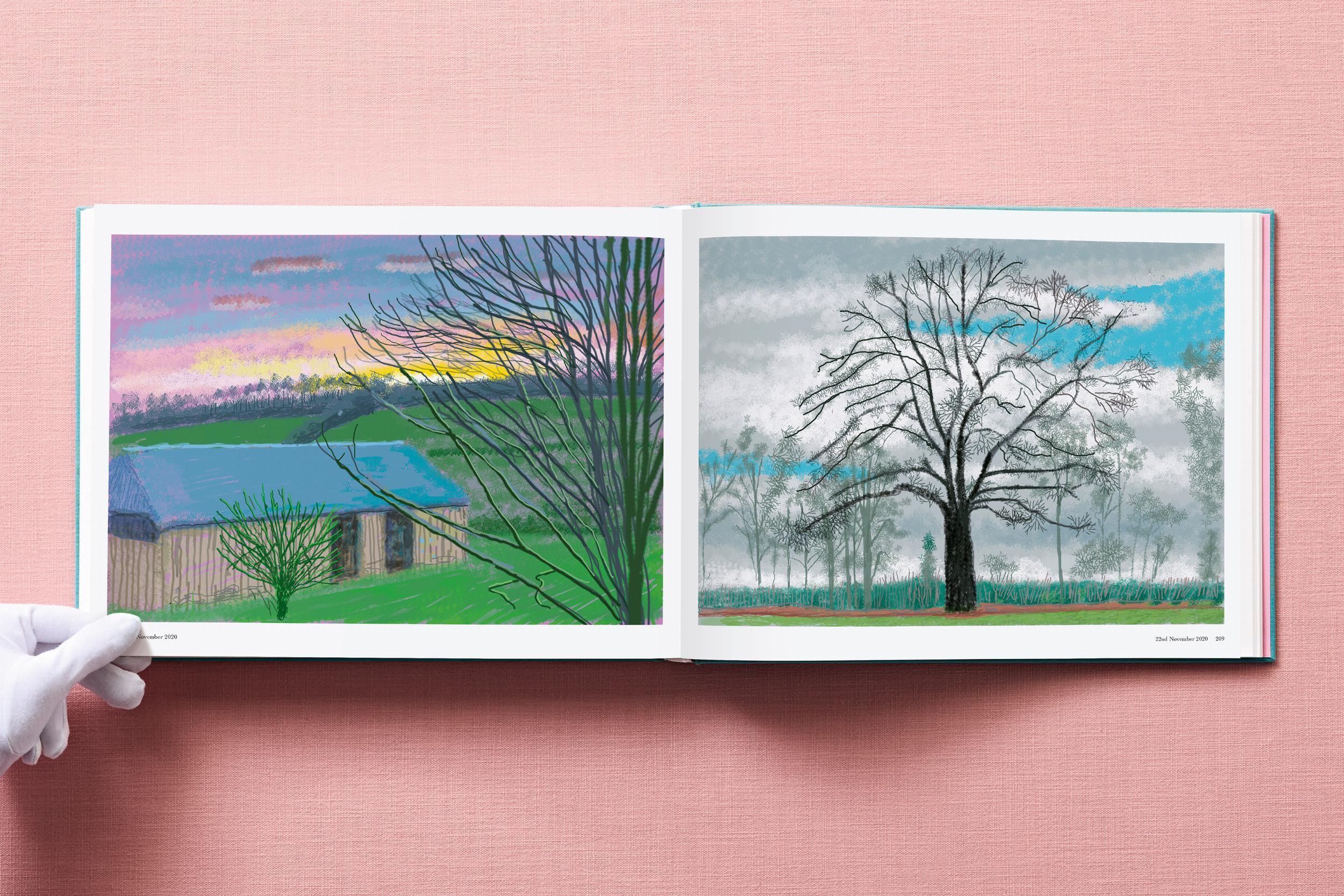 Beispielinhalt (Bild) David Hockney. 220 for 2020