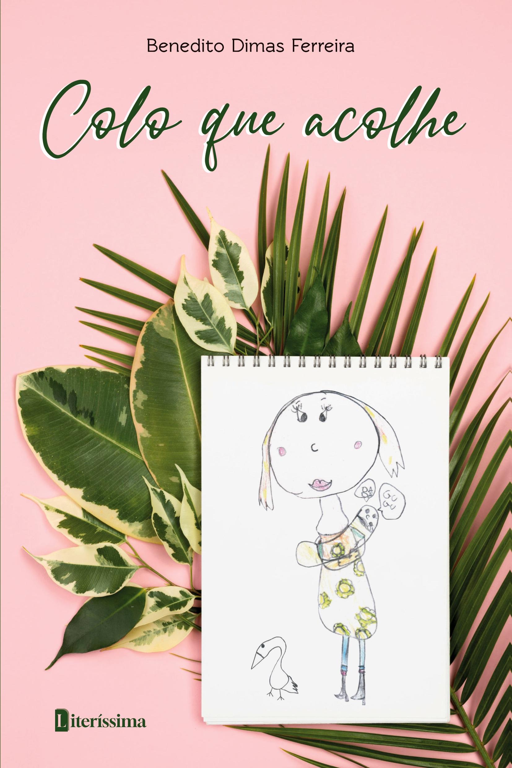 Vorderes Coverbild COLO QUE ACOLHE