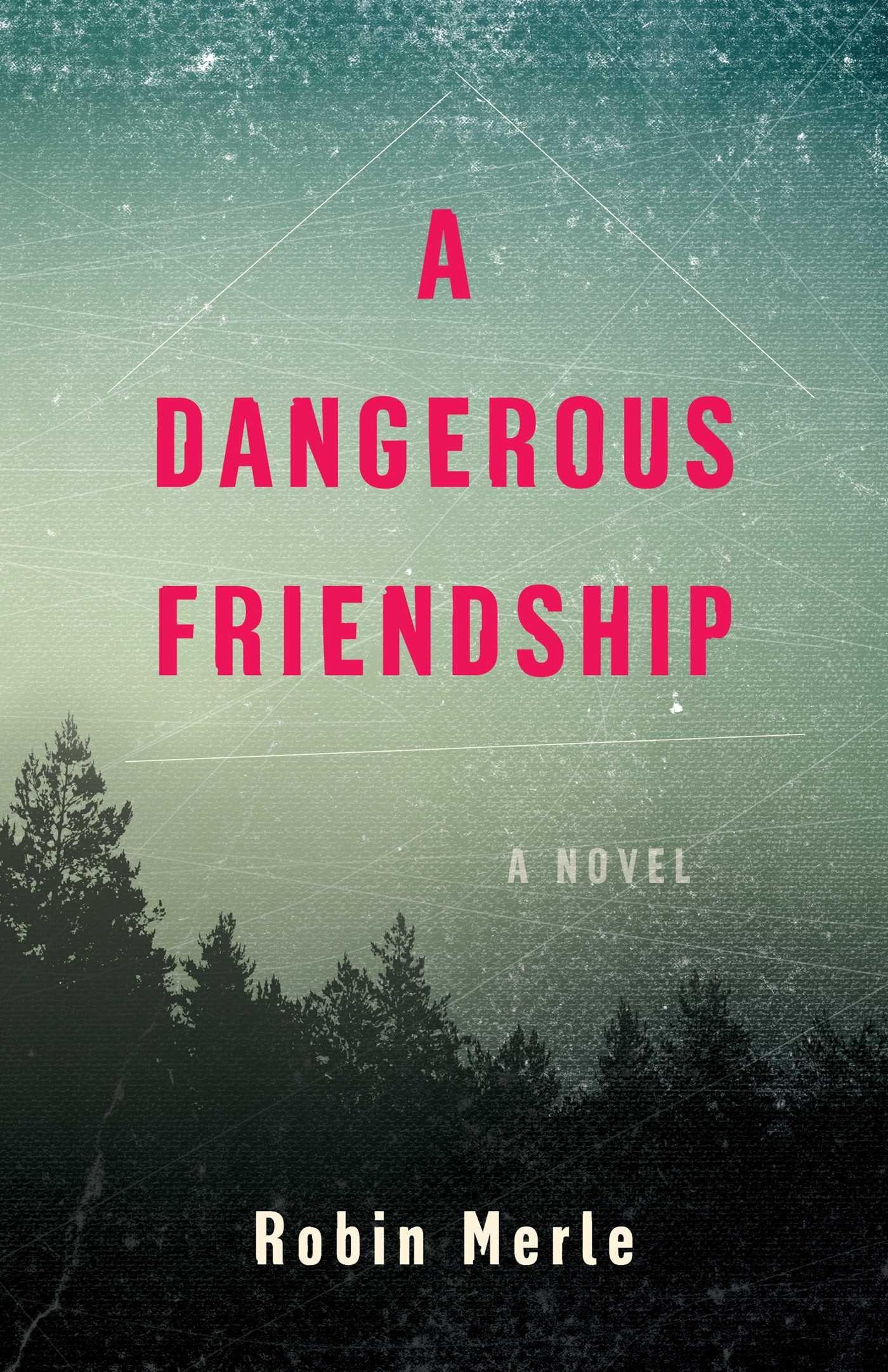 Vorderes Coverbild Dangerous Friendship