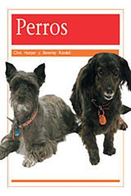 Vorderes Coverbild Perros (Dogs)