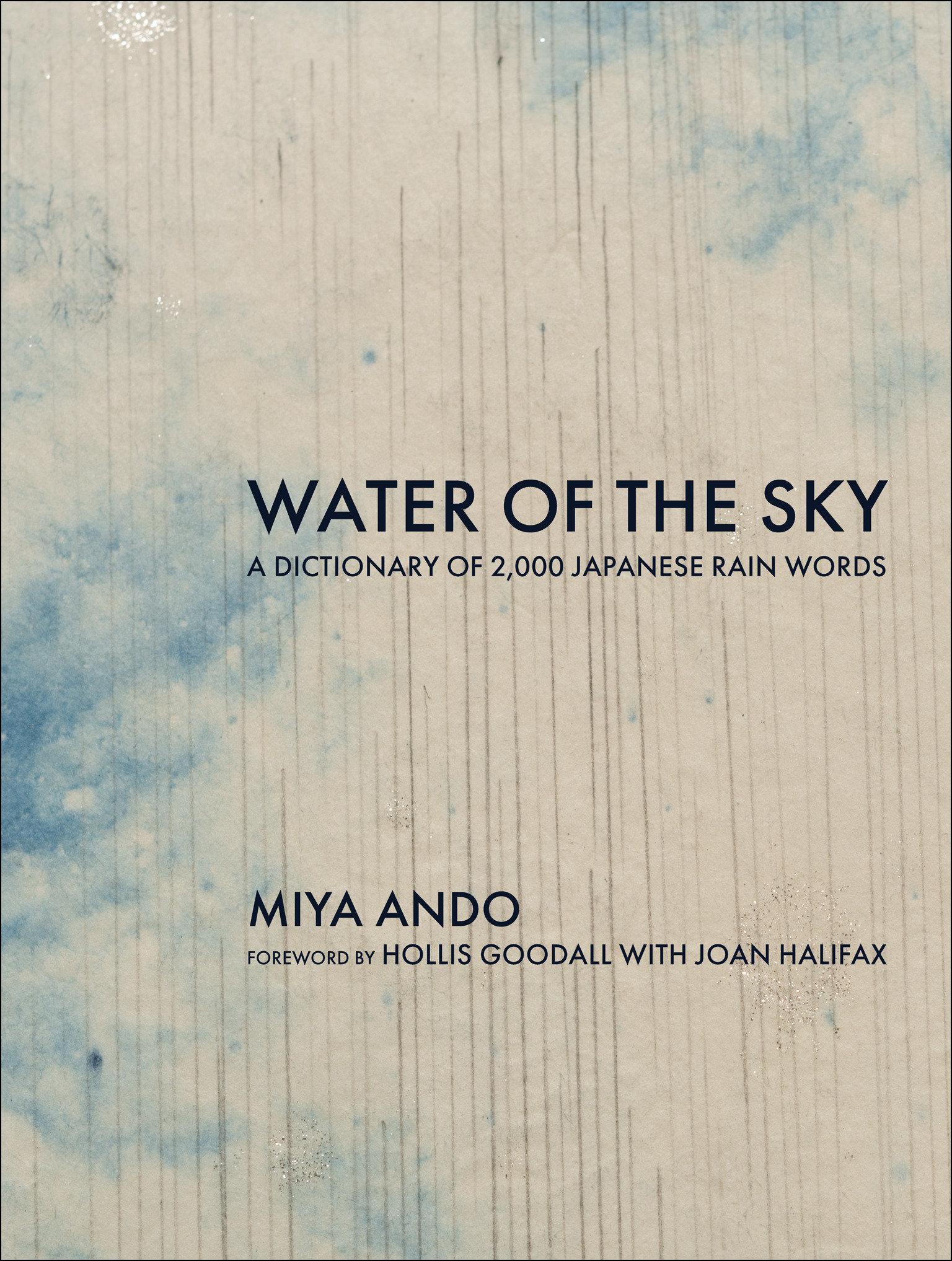 Vorderes Coverbild Water of the Sky
