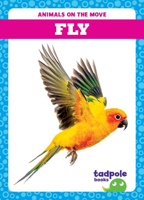 Vorderes Coverbild Fly