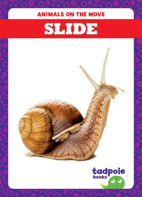 Vorderes Coverbild Slide