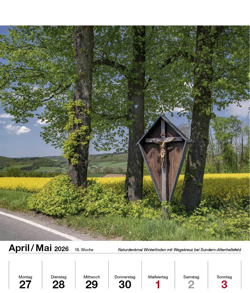 Beispielinhalt (Bild) Schönes Sauerland 2026