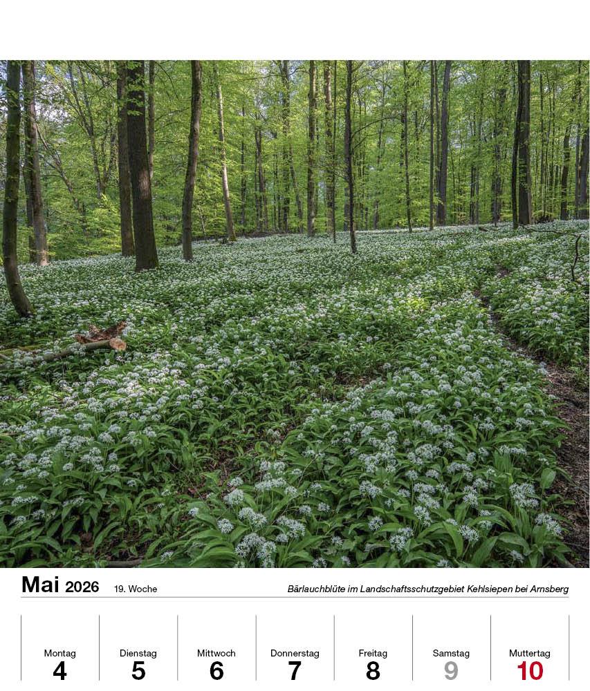 Beispielinhalt (Bild) Schönes Sauerland 2026