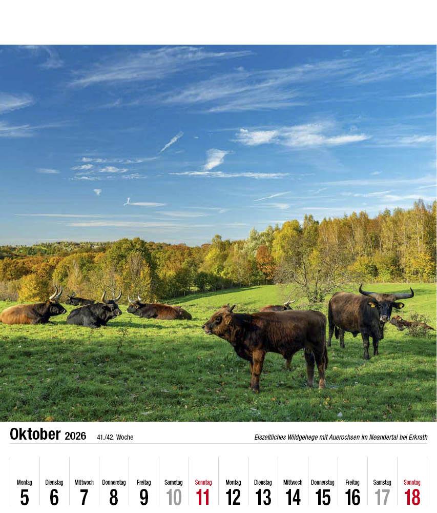 Beispielinhalt (Bild) Schönes Bergisches Land 2026