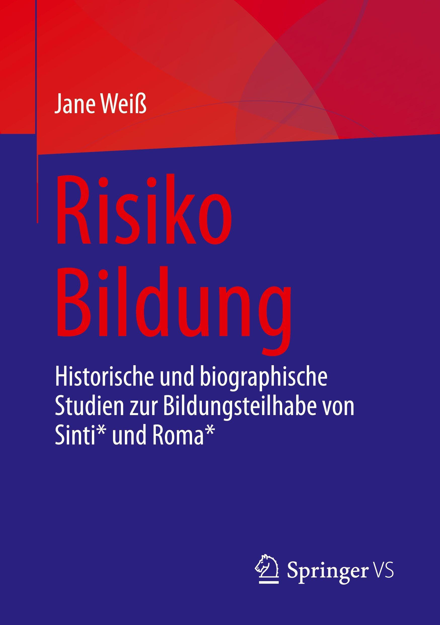 Vorderes Coverbild Risiko Bildung