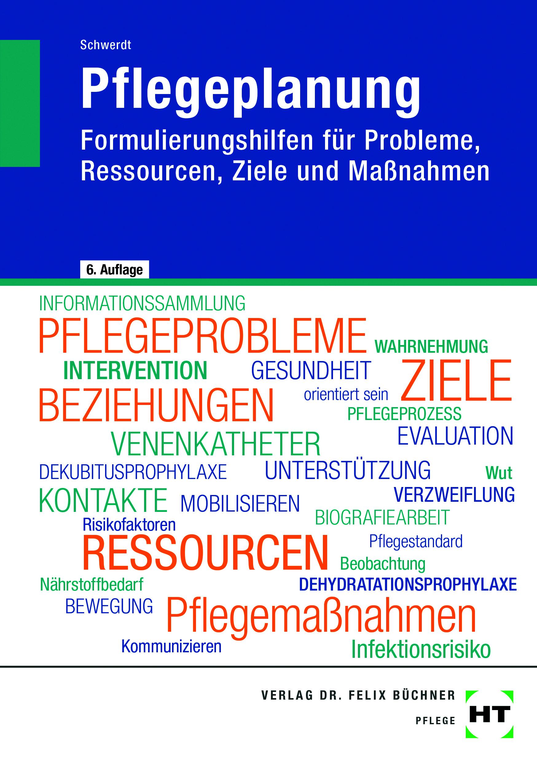 Vorderes Coverbild eBook inside: Buch und eBook Pflegeplanung