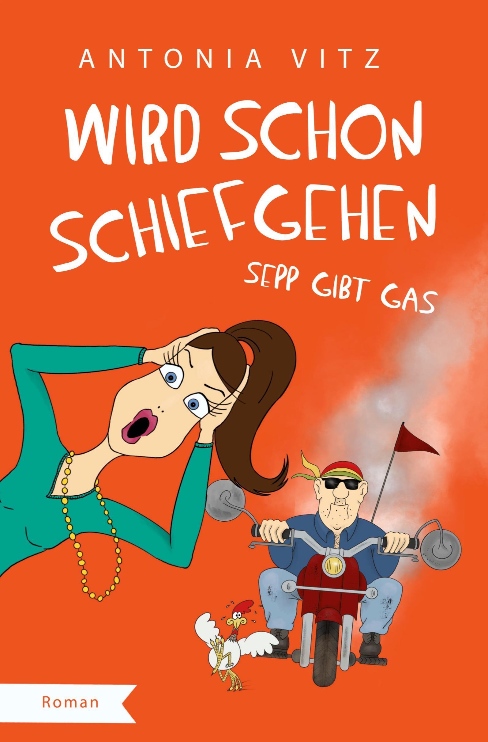 Vorderes Coverbild Wird schon schiefgehen