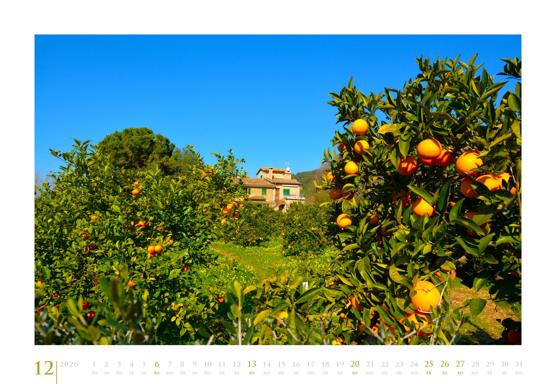 Beispielinhalt (Bild) Reiseskizzen Mallorca aRT 2026