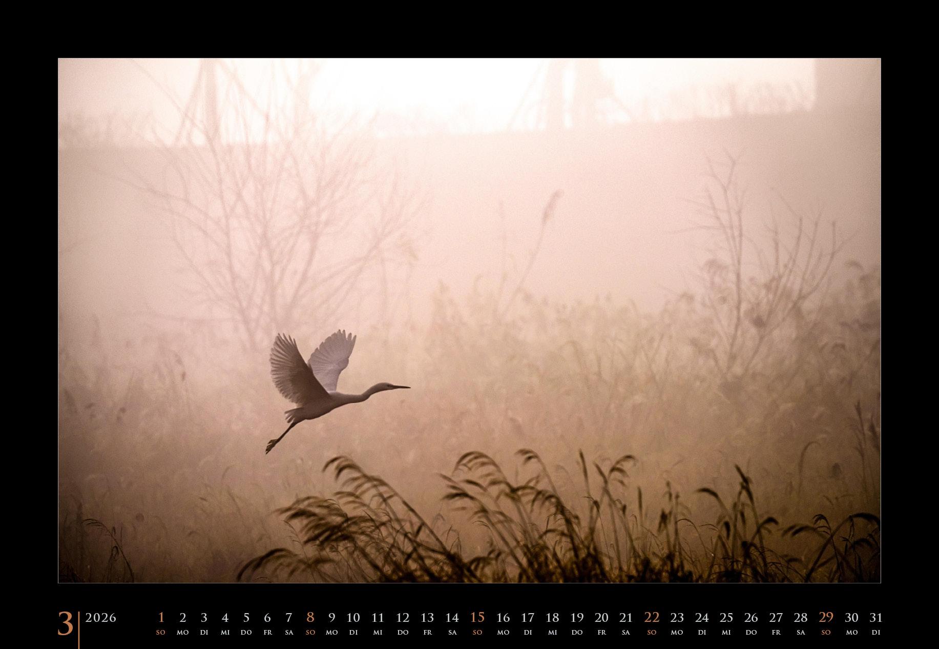 Beispielinhalt (Bild) Stimmungen 2026