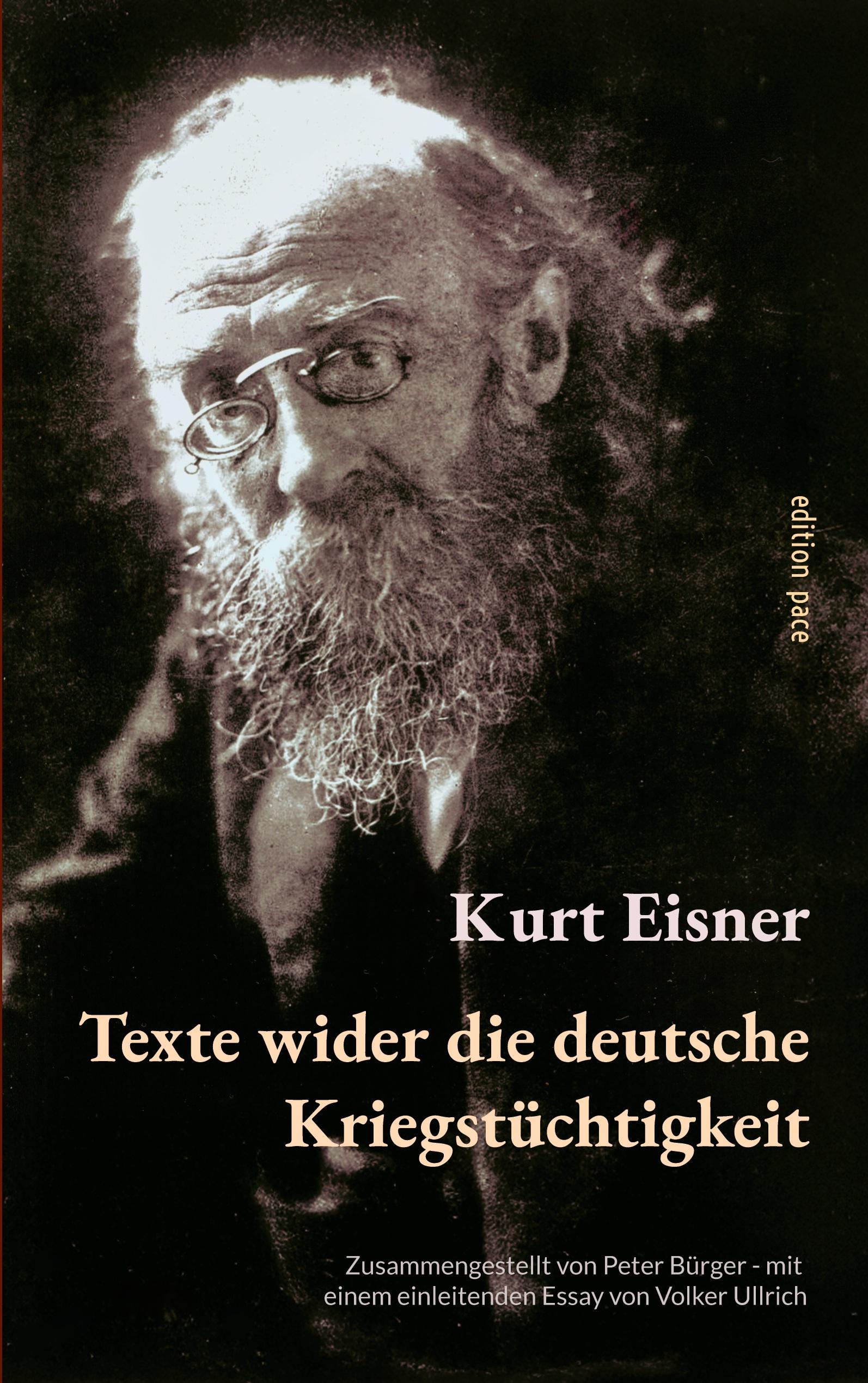Vorderes Coverbild Texte wider die deutsche Kriegstüchtigkeit