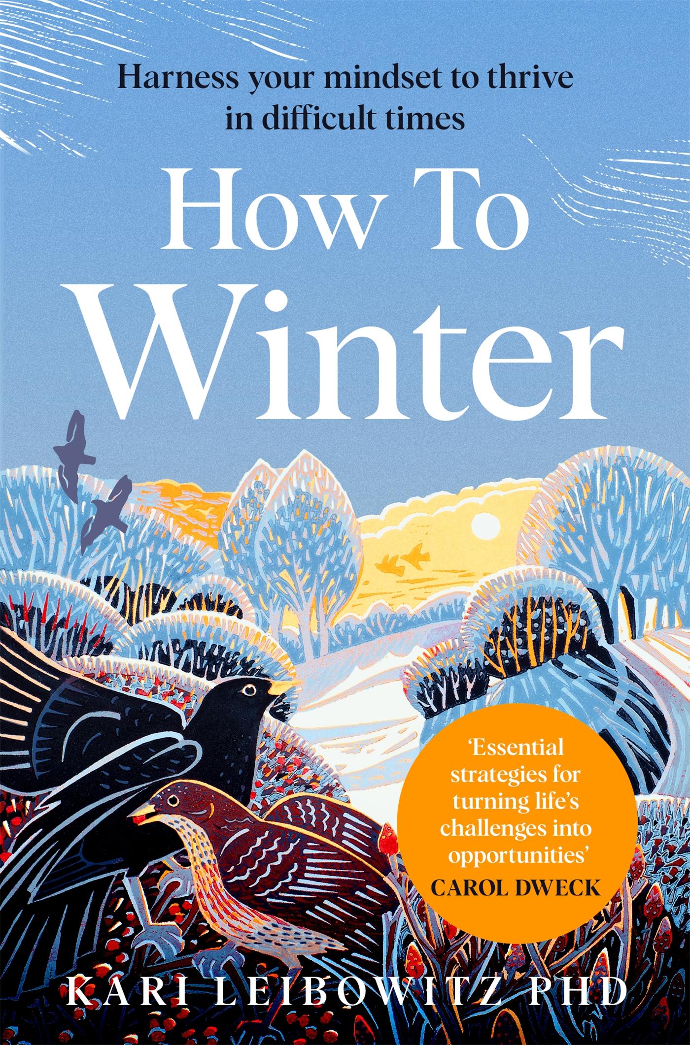 Vorderes Coverbild How to Winter