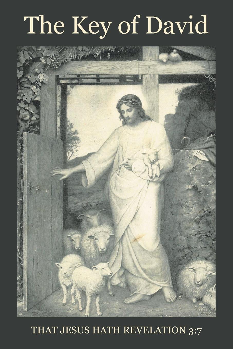 Vorderes Coverbild The Key of David