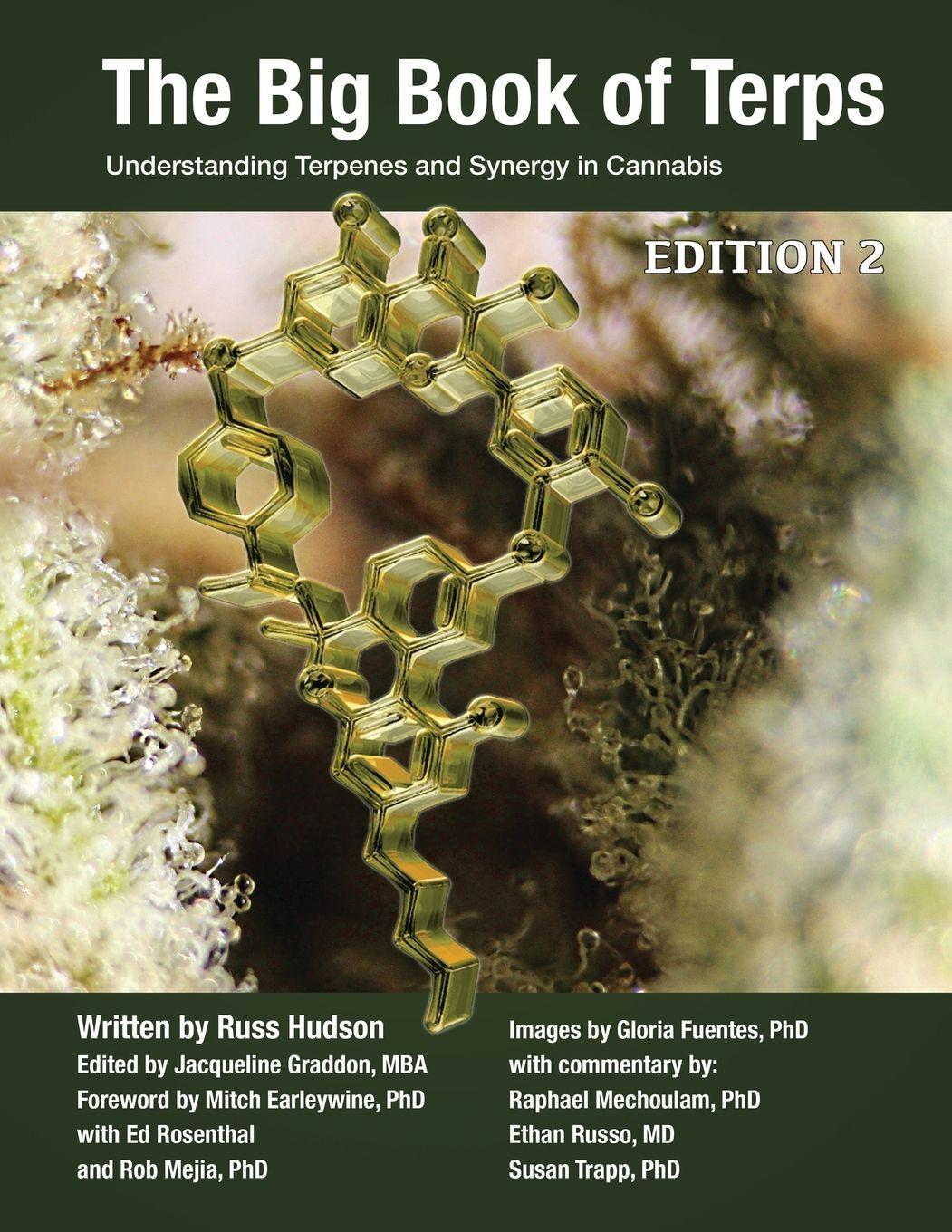 Vorderes Coverbild The Big Book of Terps