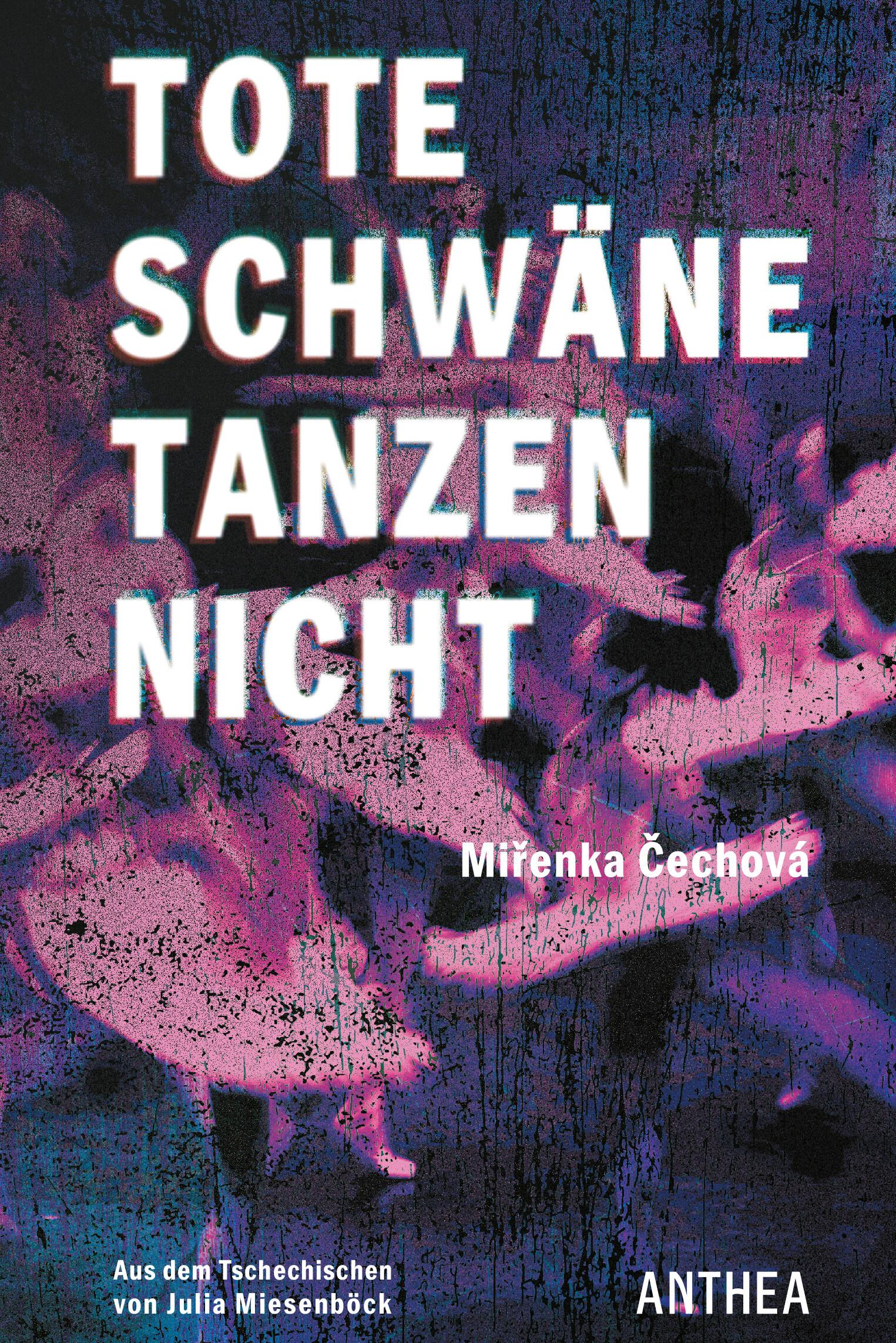 Vorderes Coverbild Tote Schwäne tanzen nicht